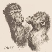 Постер альбома Duet