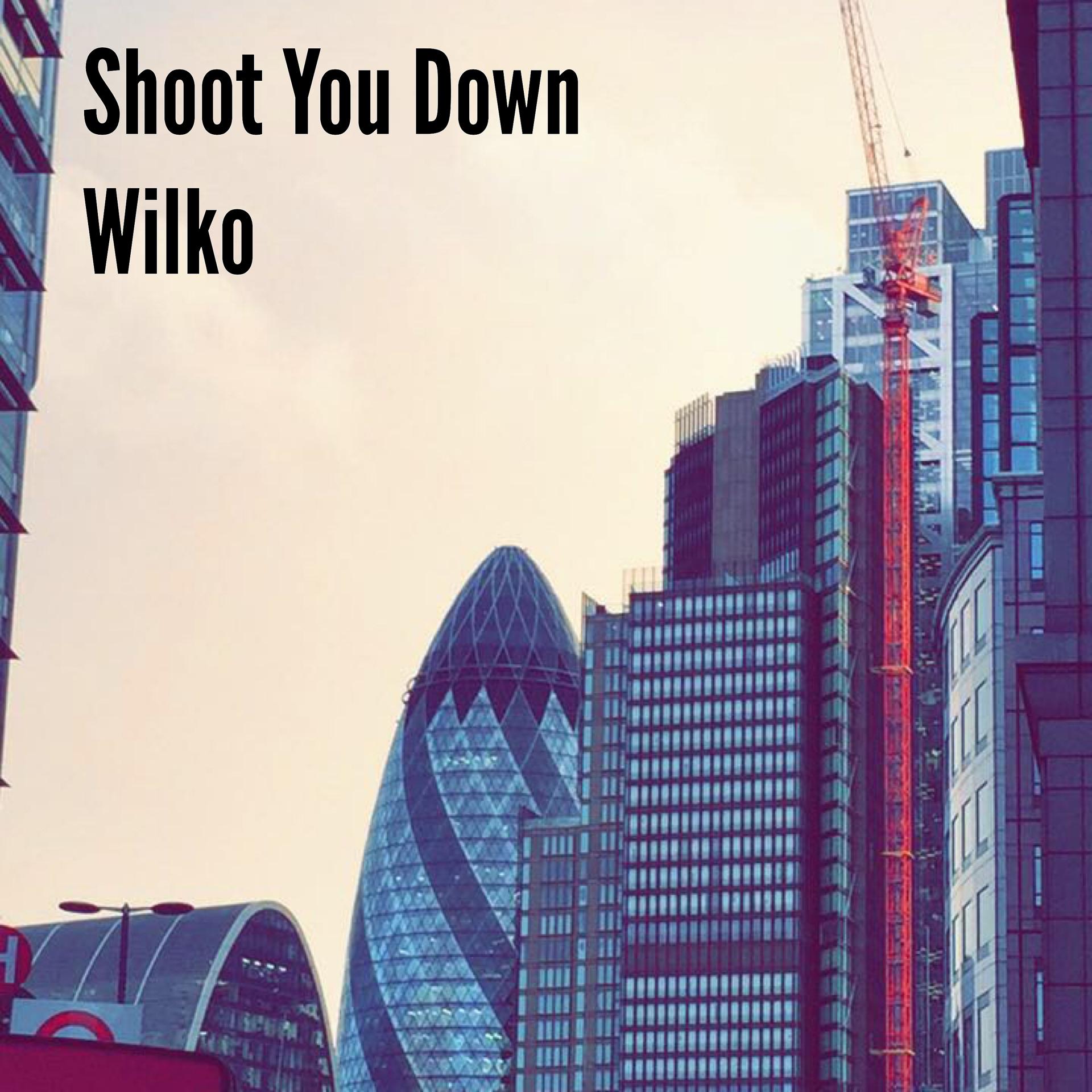 Постер альбома Shoot You Down