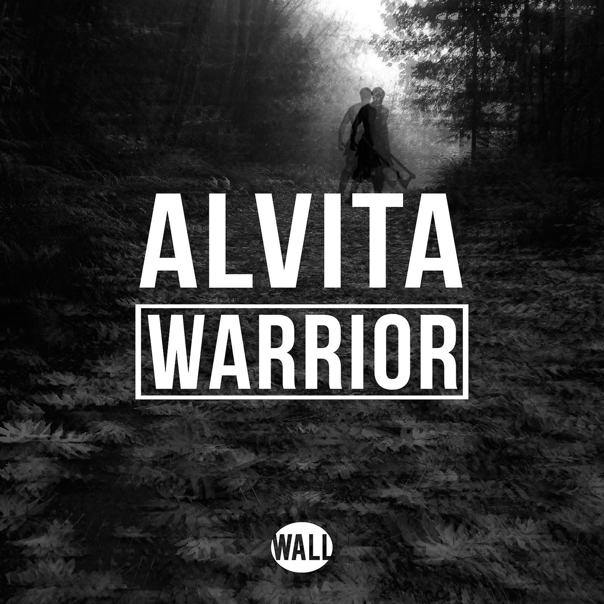 Постер альбома Warrior (Radio Edit)
