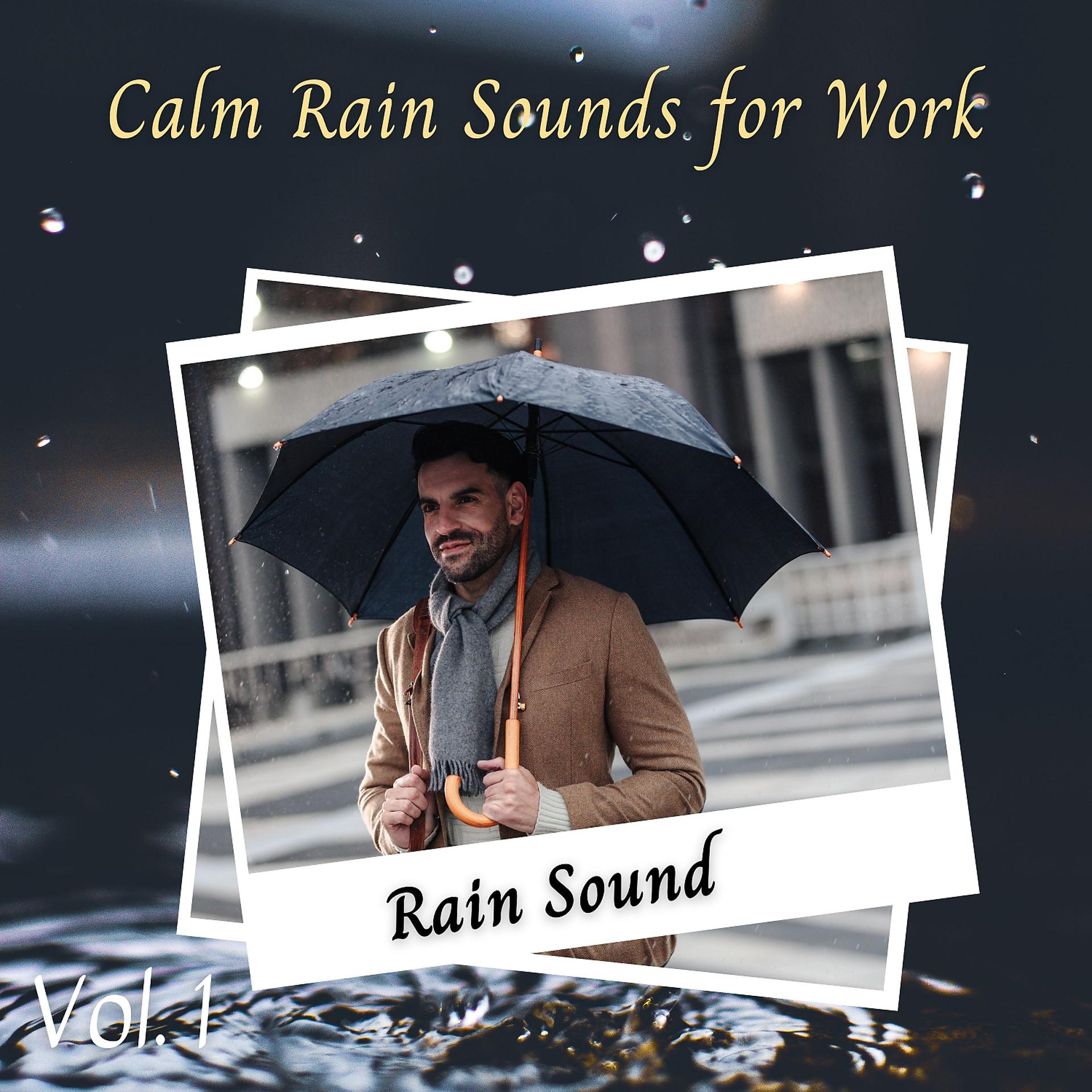 Постер альбома Rain Sound: Calm Rain Sounds for Work Vol. 1