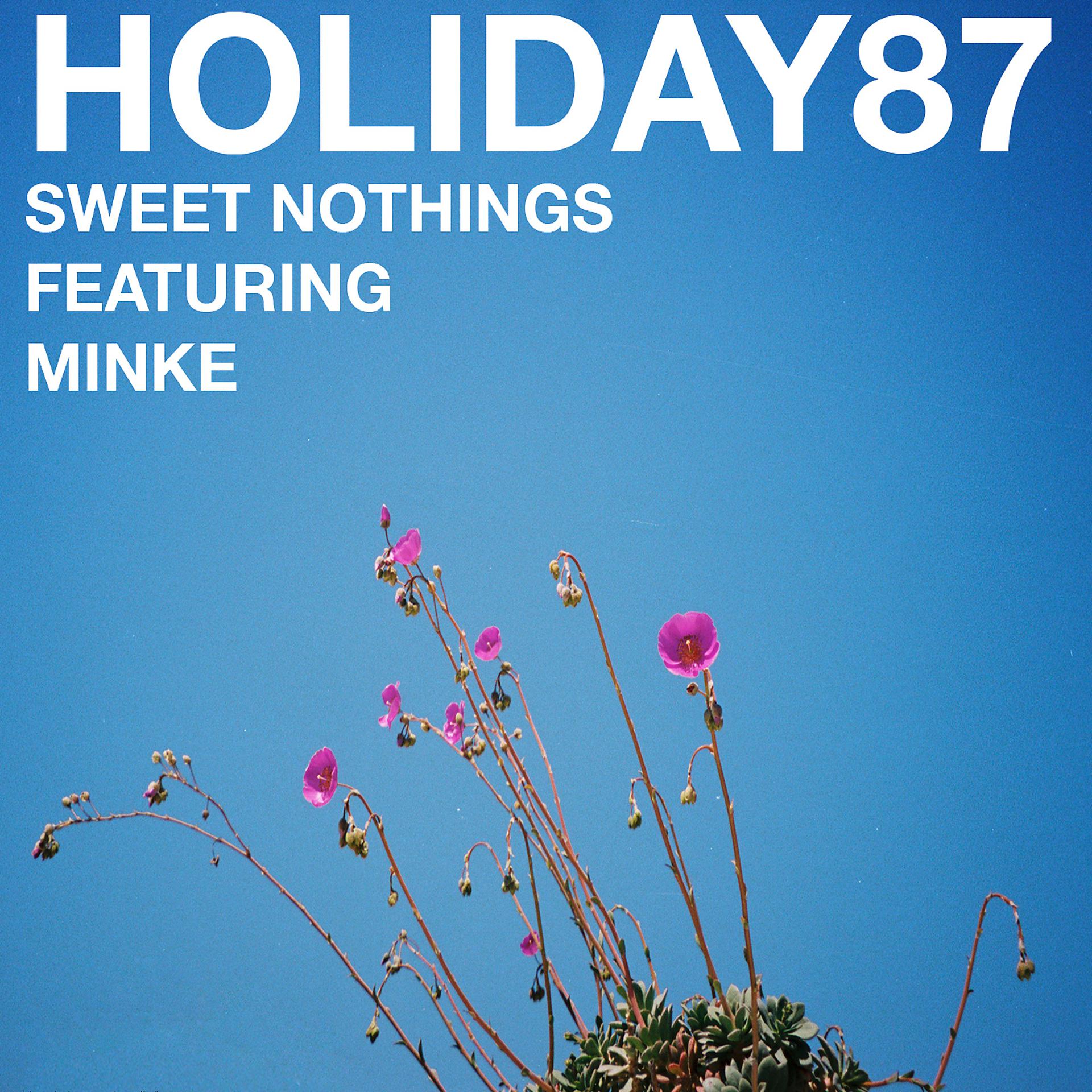 Постер альбома Sweet Nothings (feat. Minke)