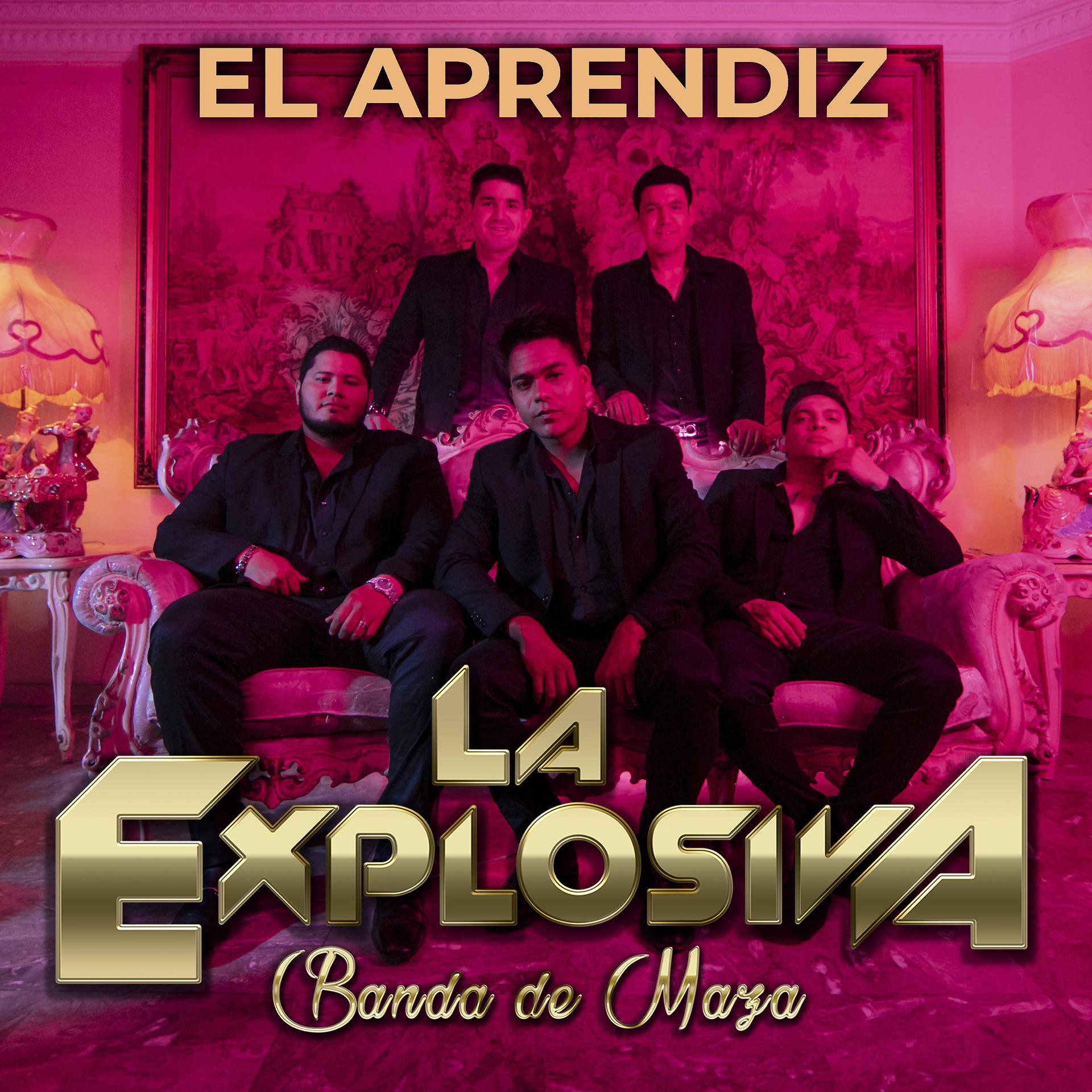 Постер альбома El Aprendiz