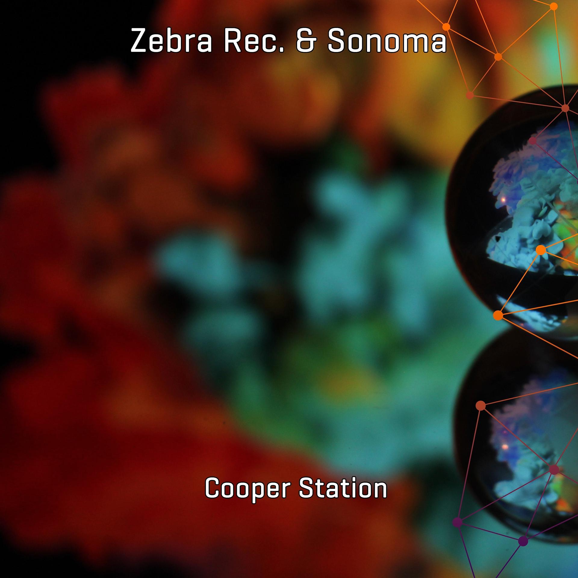 Постер альбома Cooper Station