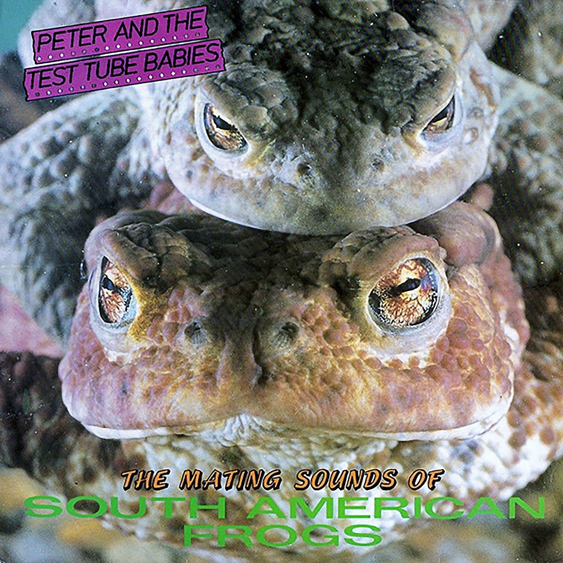 Постер альбома The Mating Sounds of South American Frogs