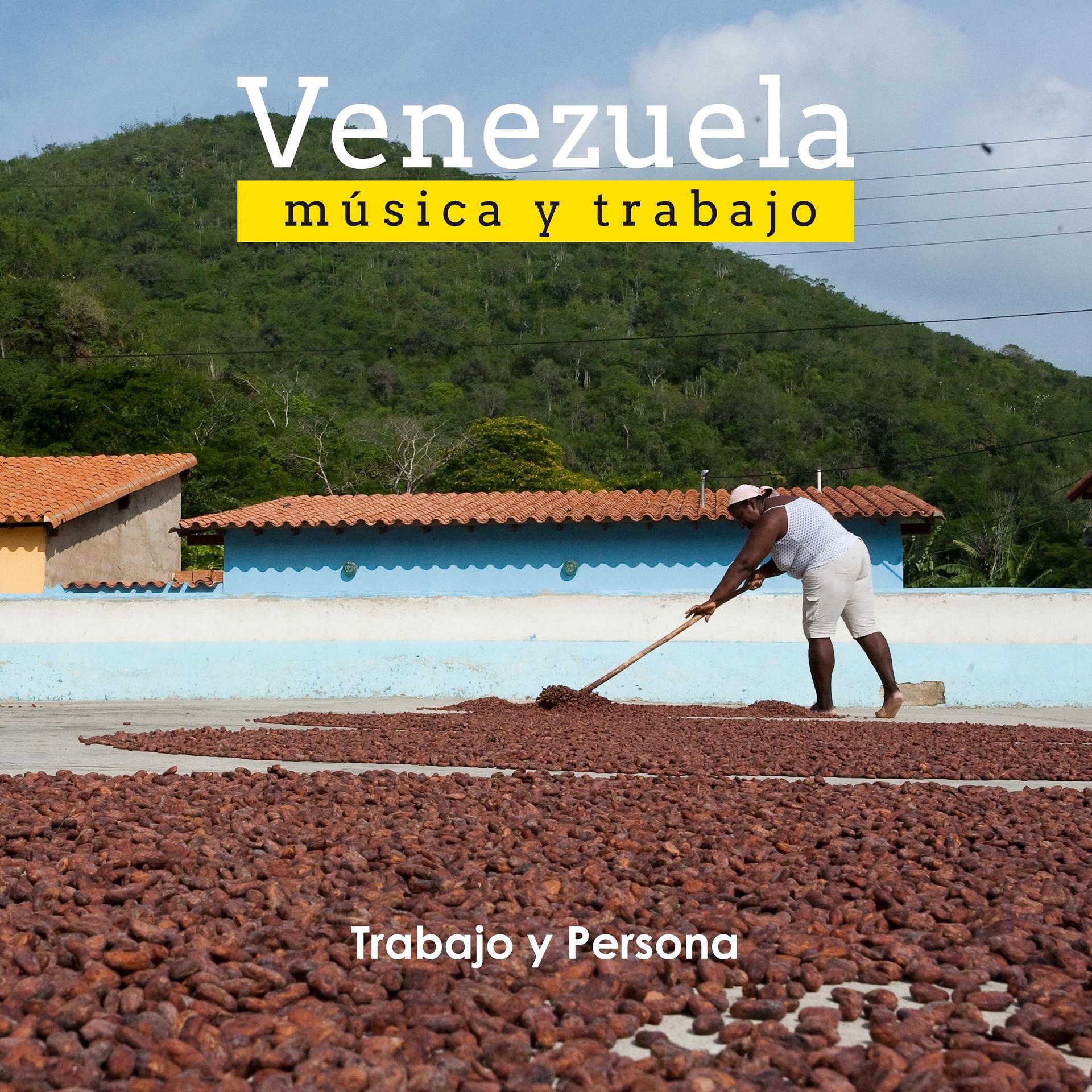 Постер альбома Venezuela música y trabajo