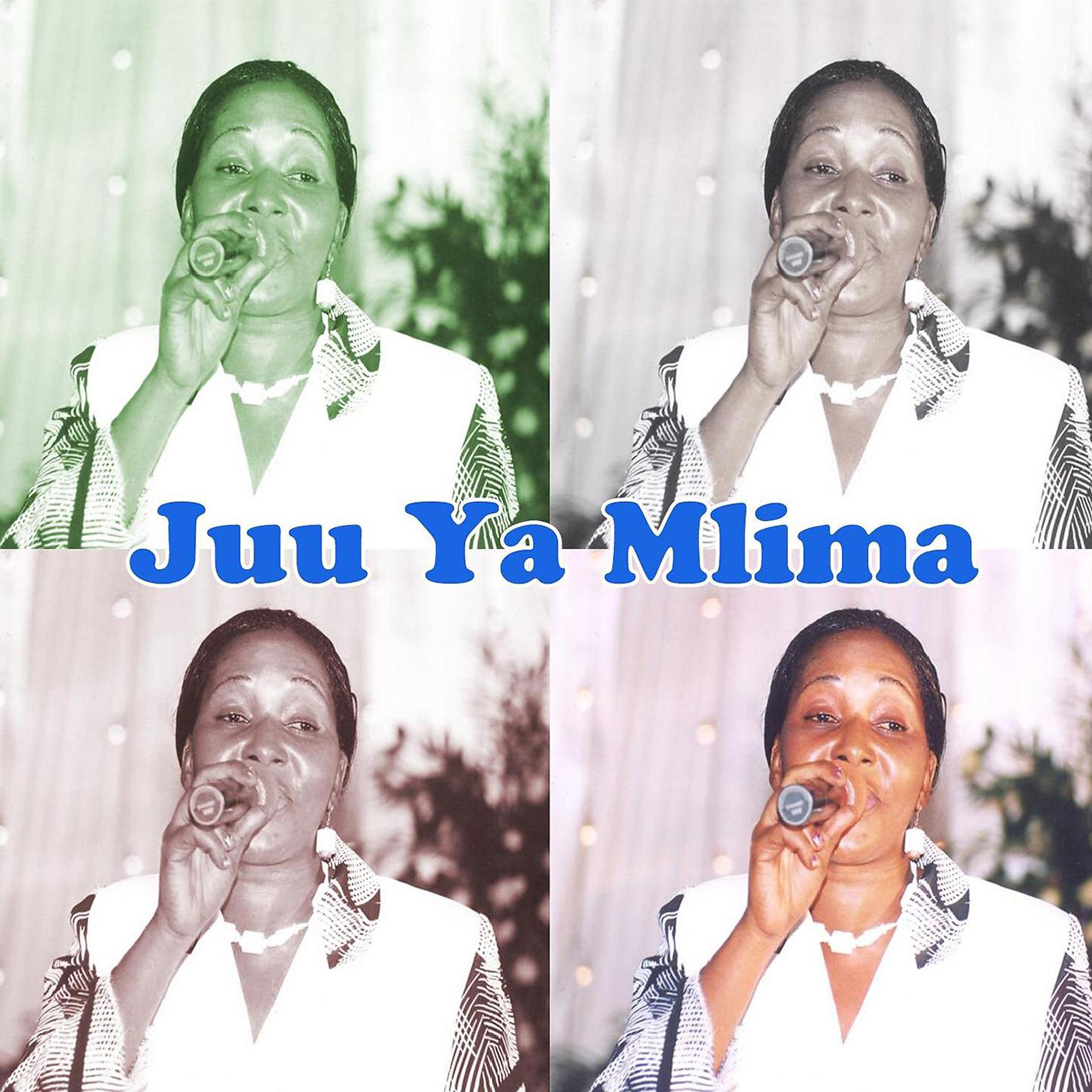Постер альбома Juu Ya Mlima