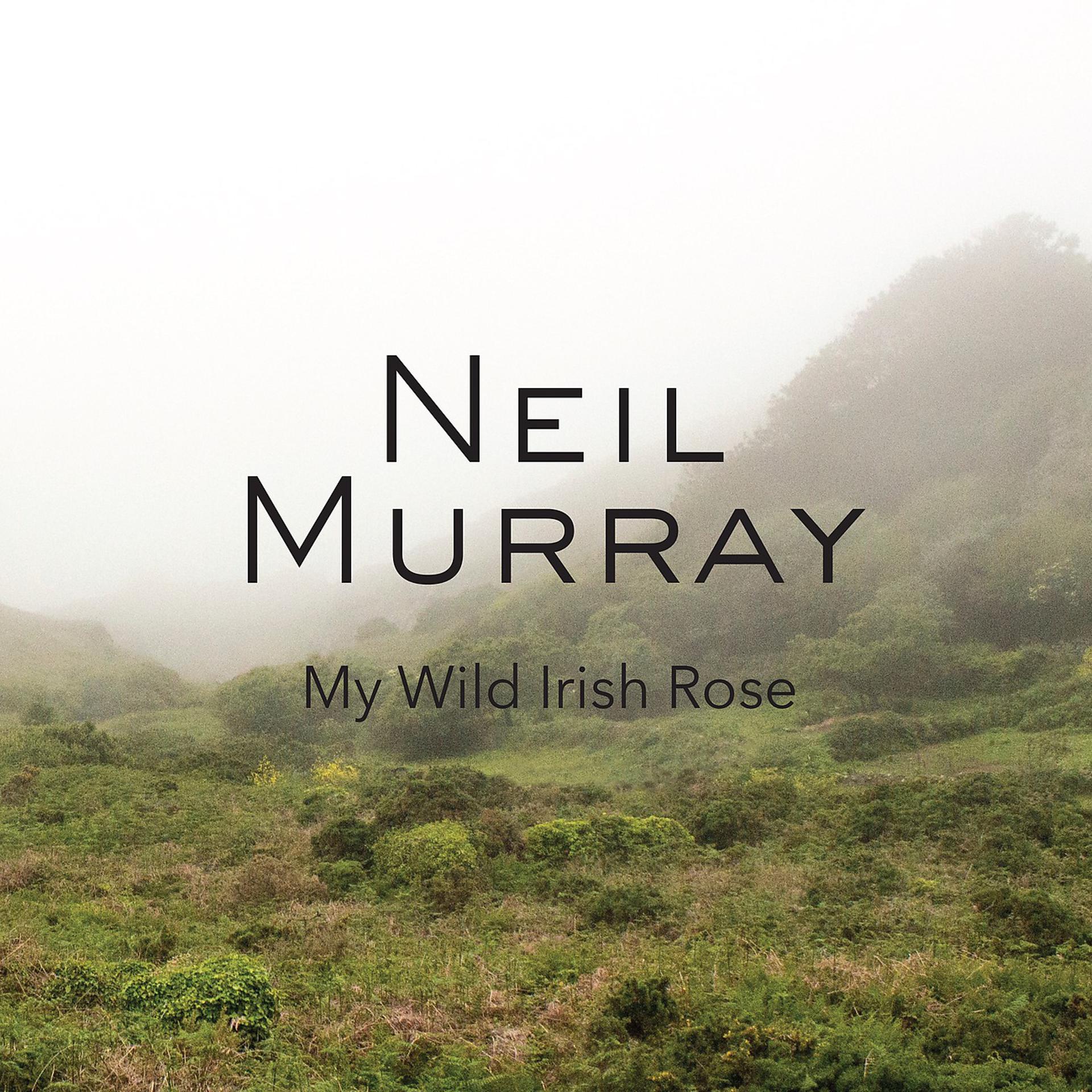 Постер альбома My Wild Irish Rose