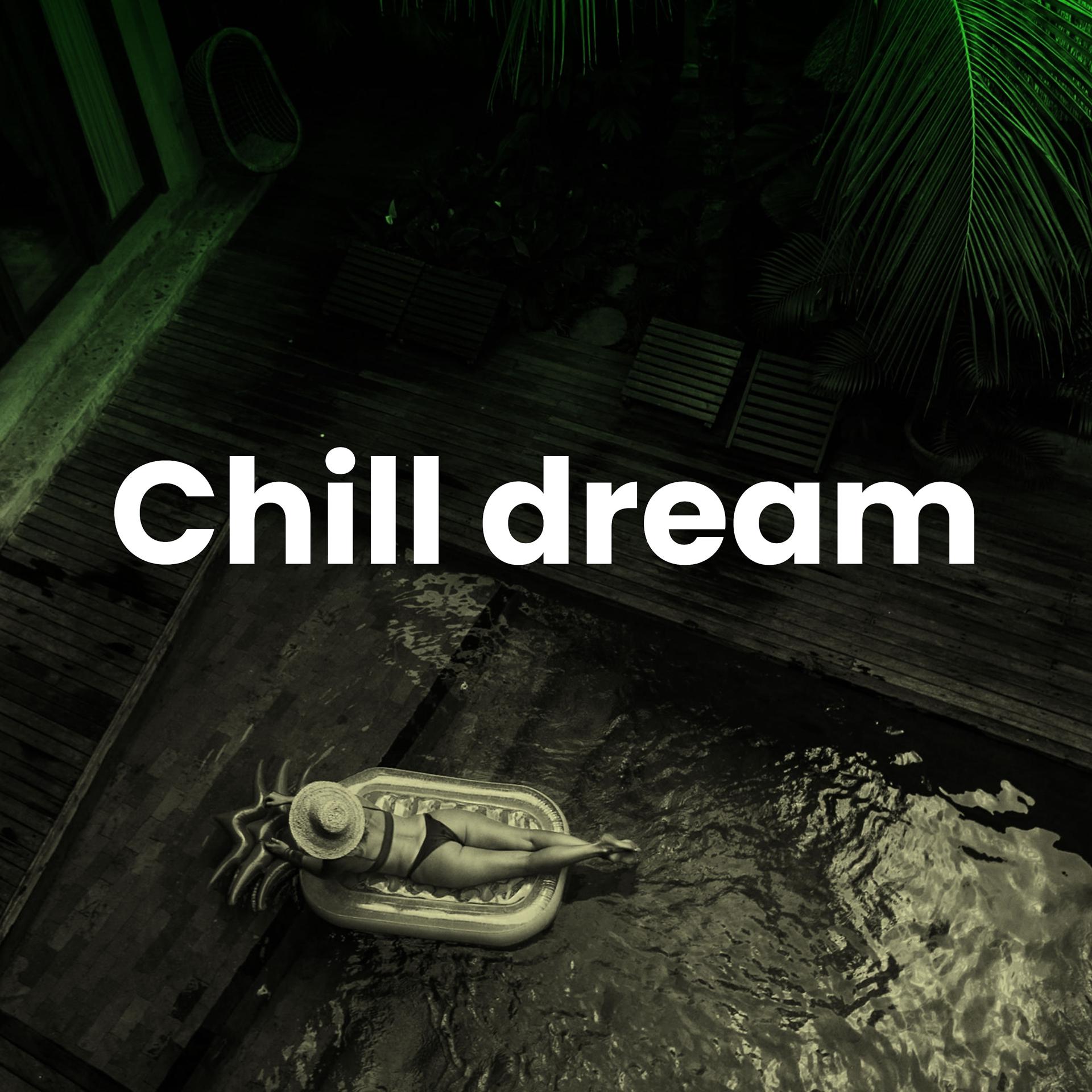 Постер альбома Chill Dream