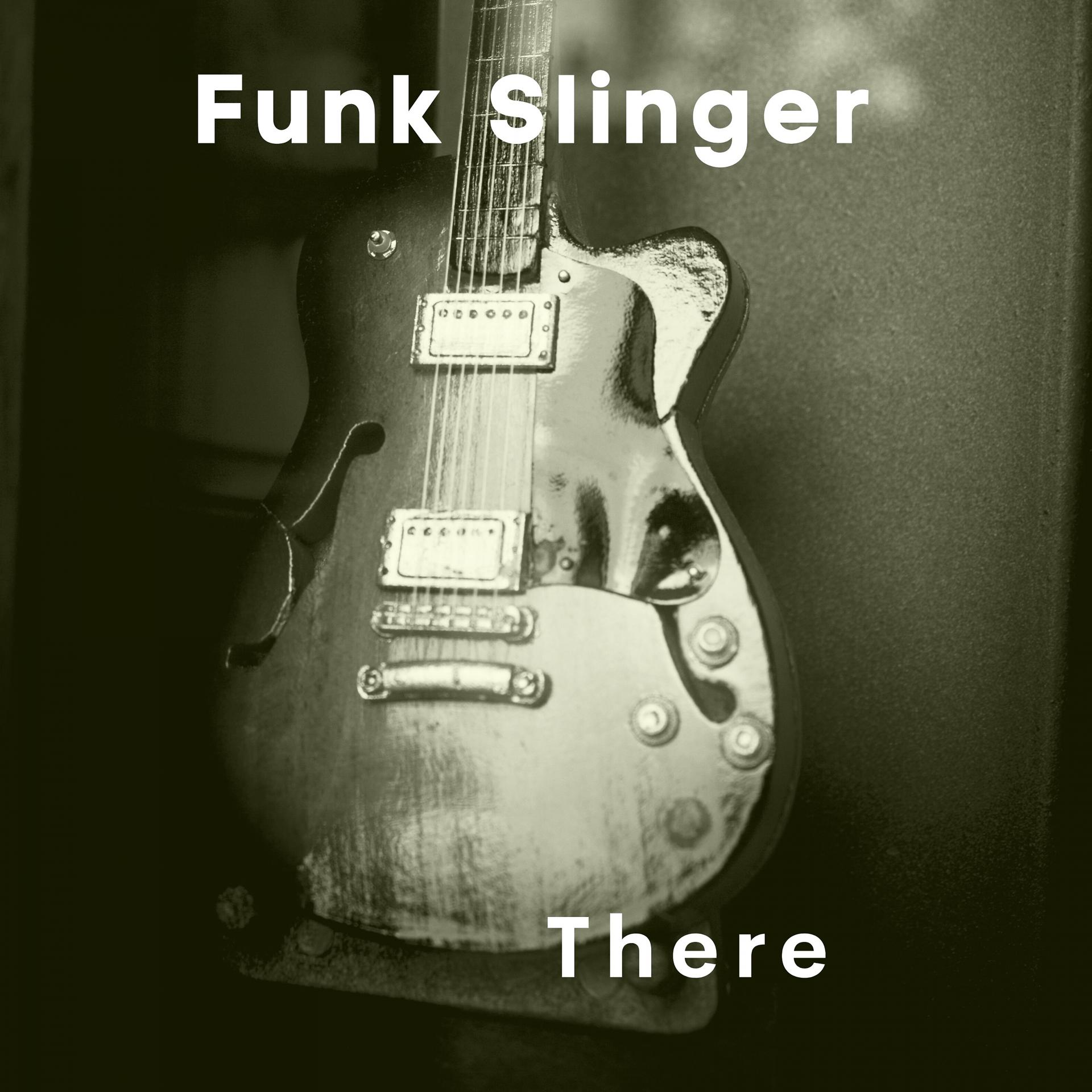 Постер альбома Funk Slinger