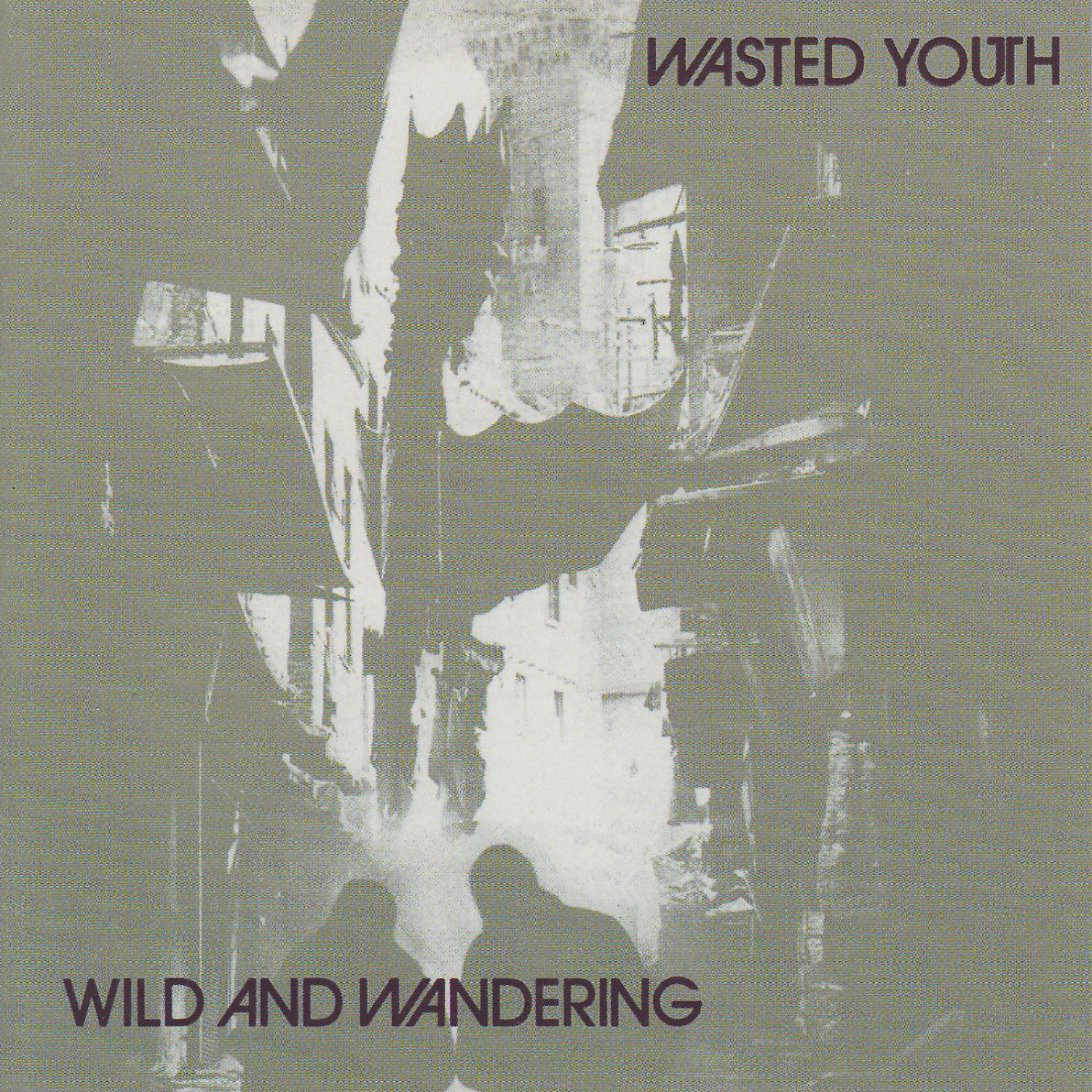 Постер альбома Wild And Wandering