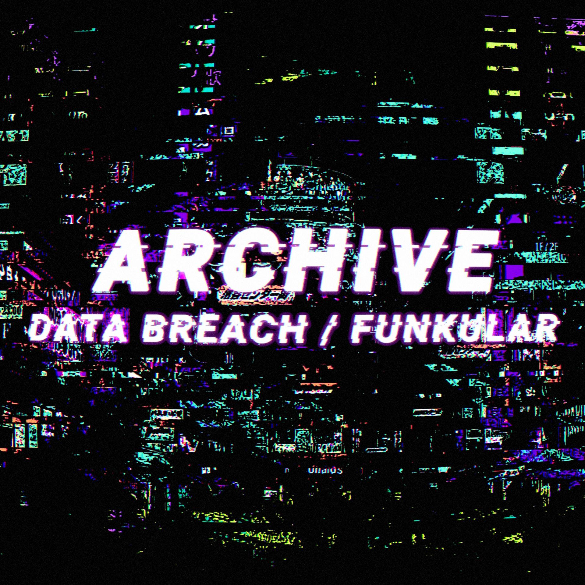 Постер альбома Data Breach / Funkular