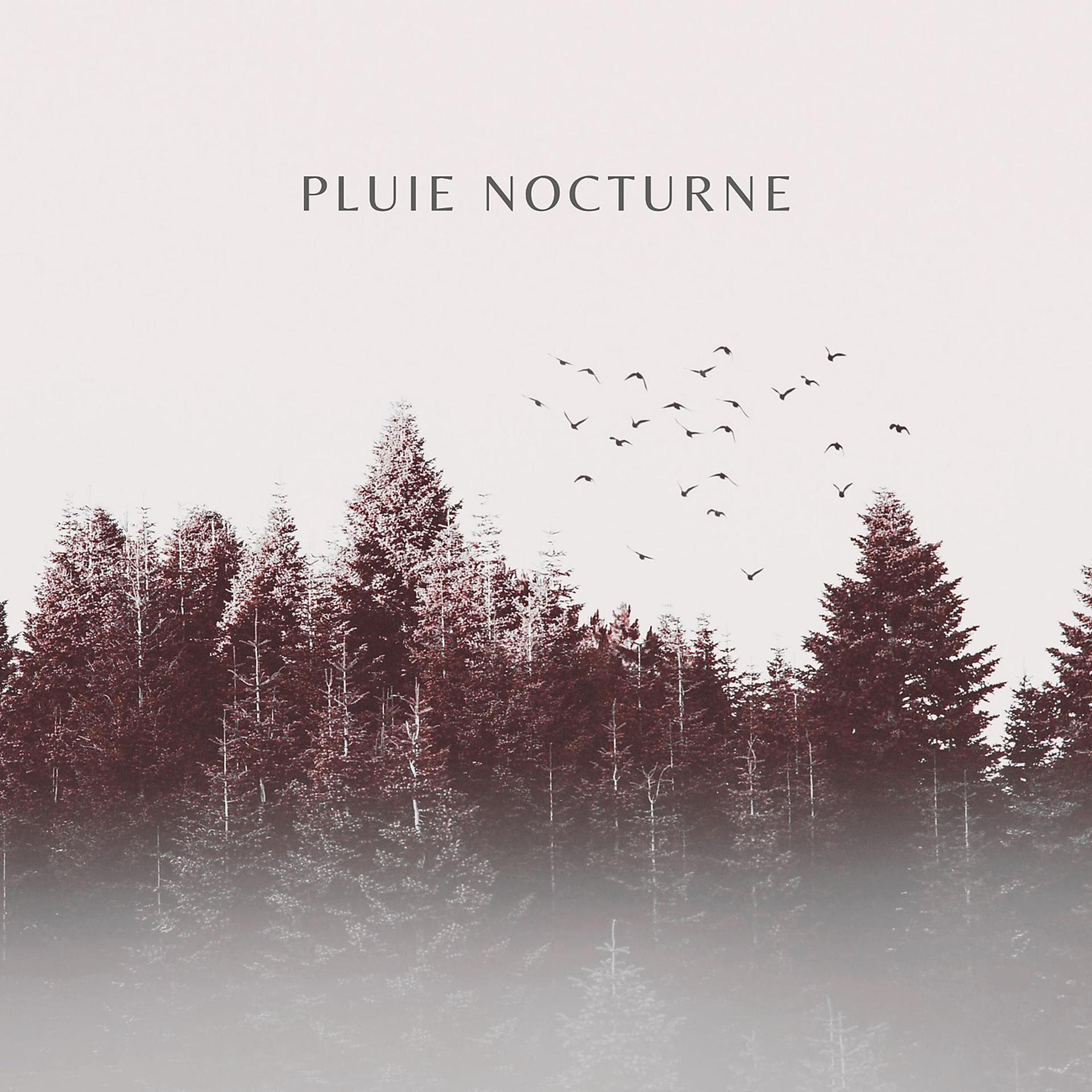 Постер альбома Pluie Nocturne