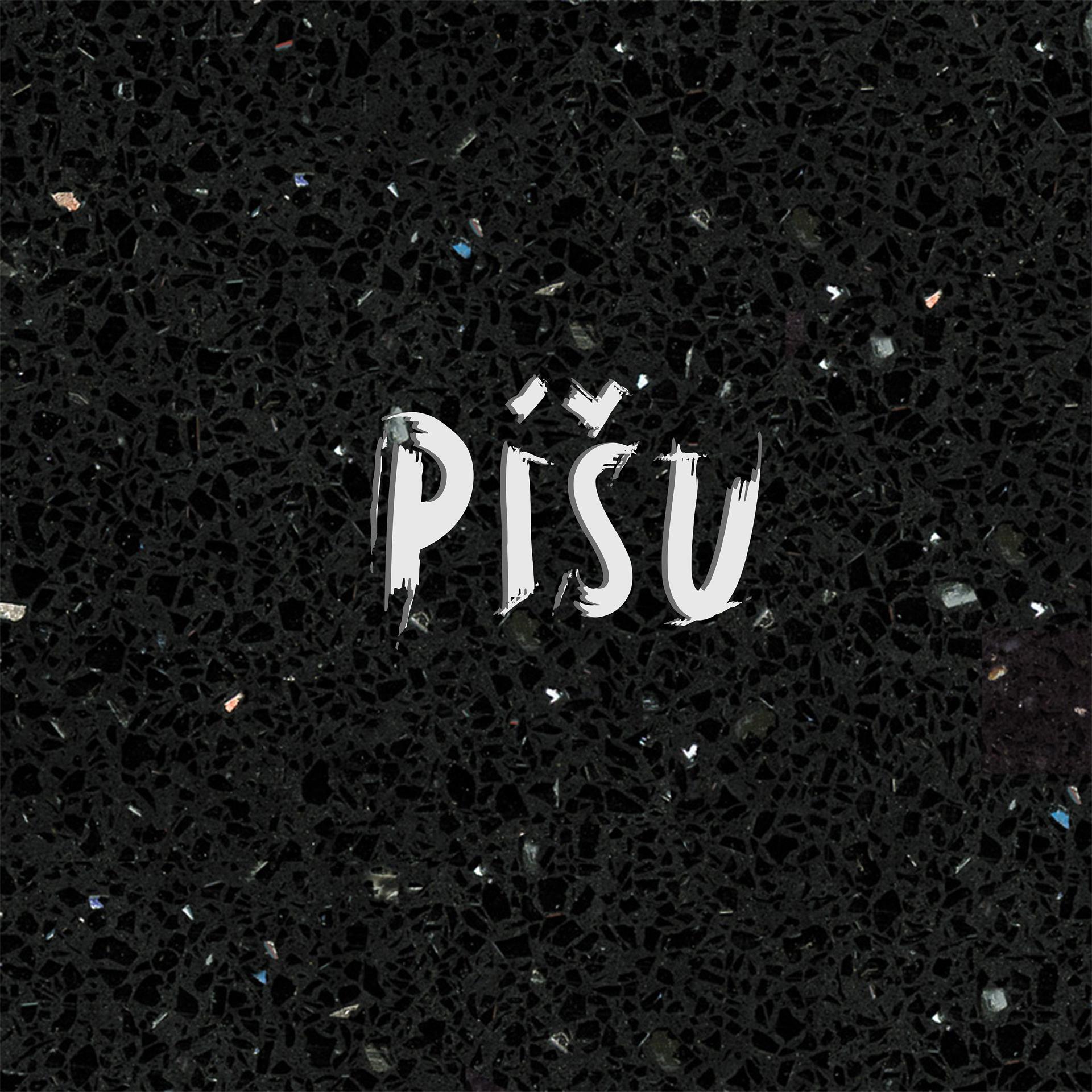 Постер альбома Píšu