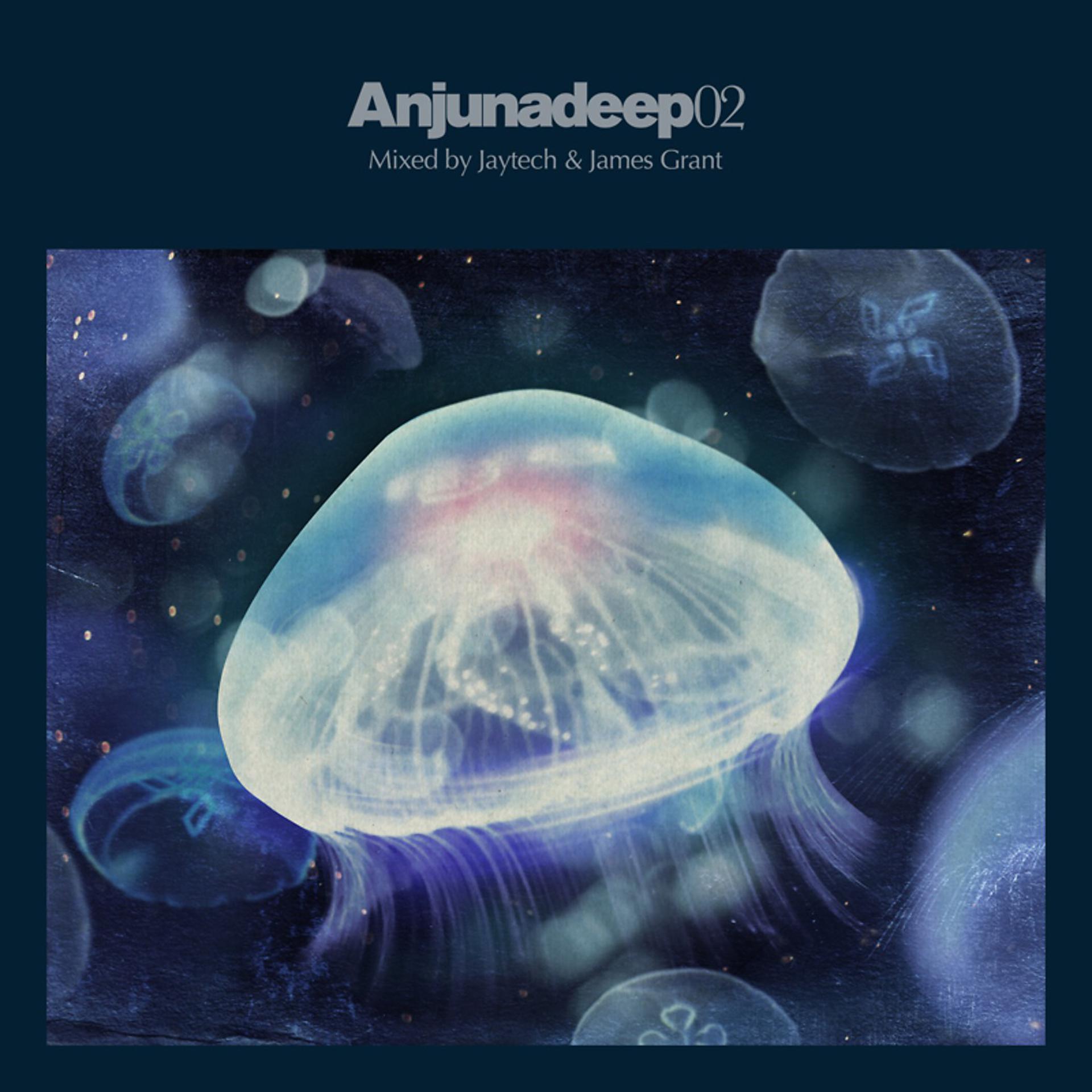 Постер альбома Anjunadeep 02