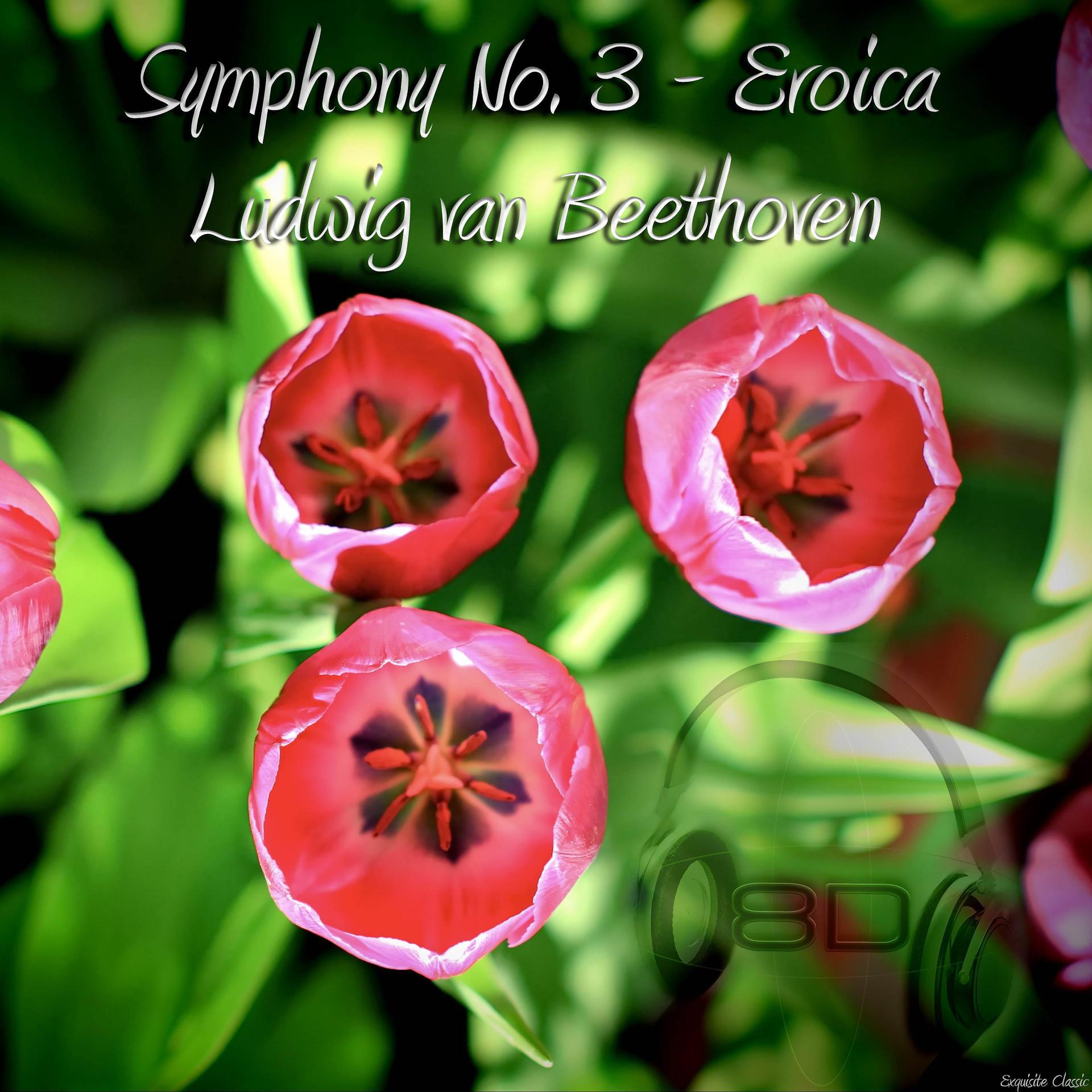 Постер альбома Symphony No. 3 in E flat major, Op. 55, "Eroica" - Ludwig van Beethoven