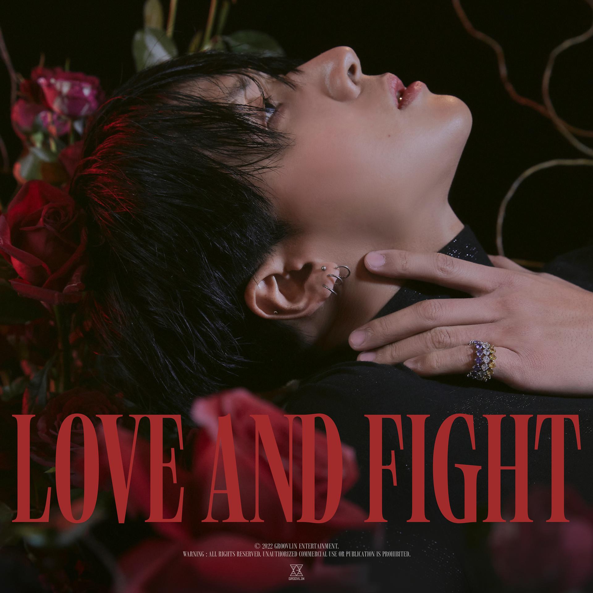Постер альбома LOVE & FIGHT
