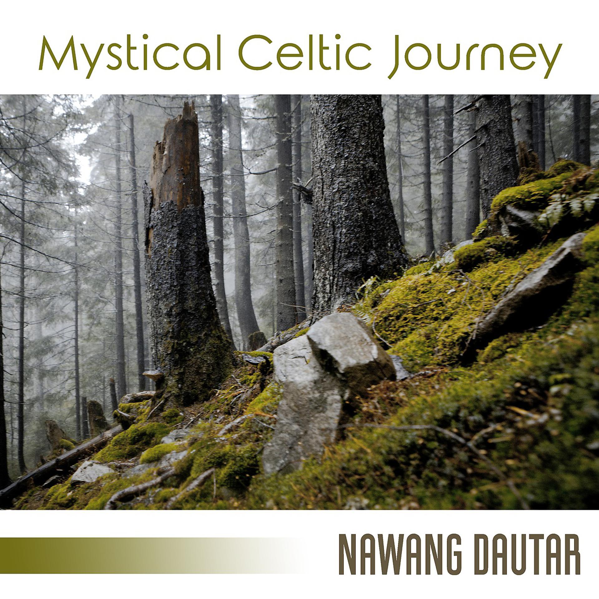 Постер альбома Mystical Celtic Journey