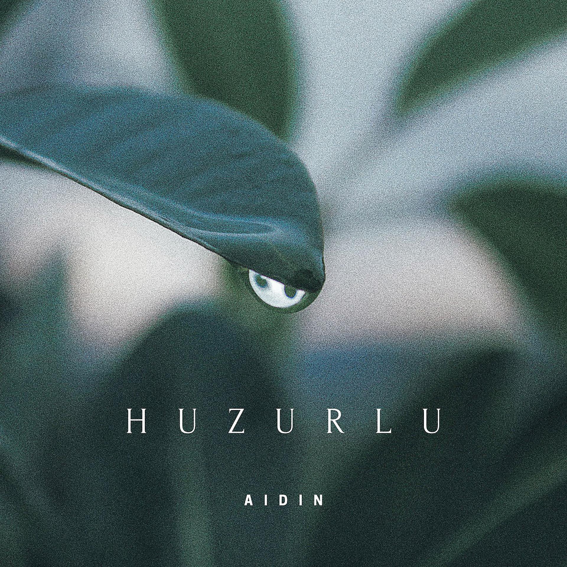Постер альбома Huzurlu