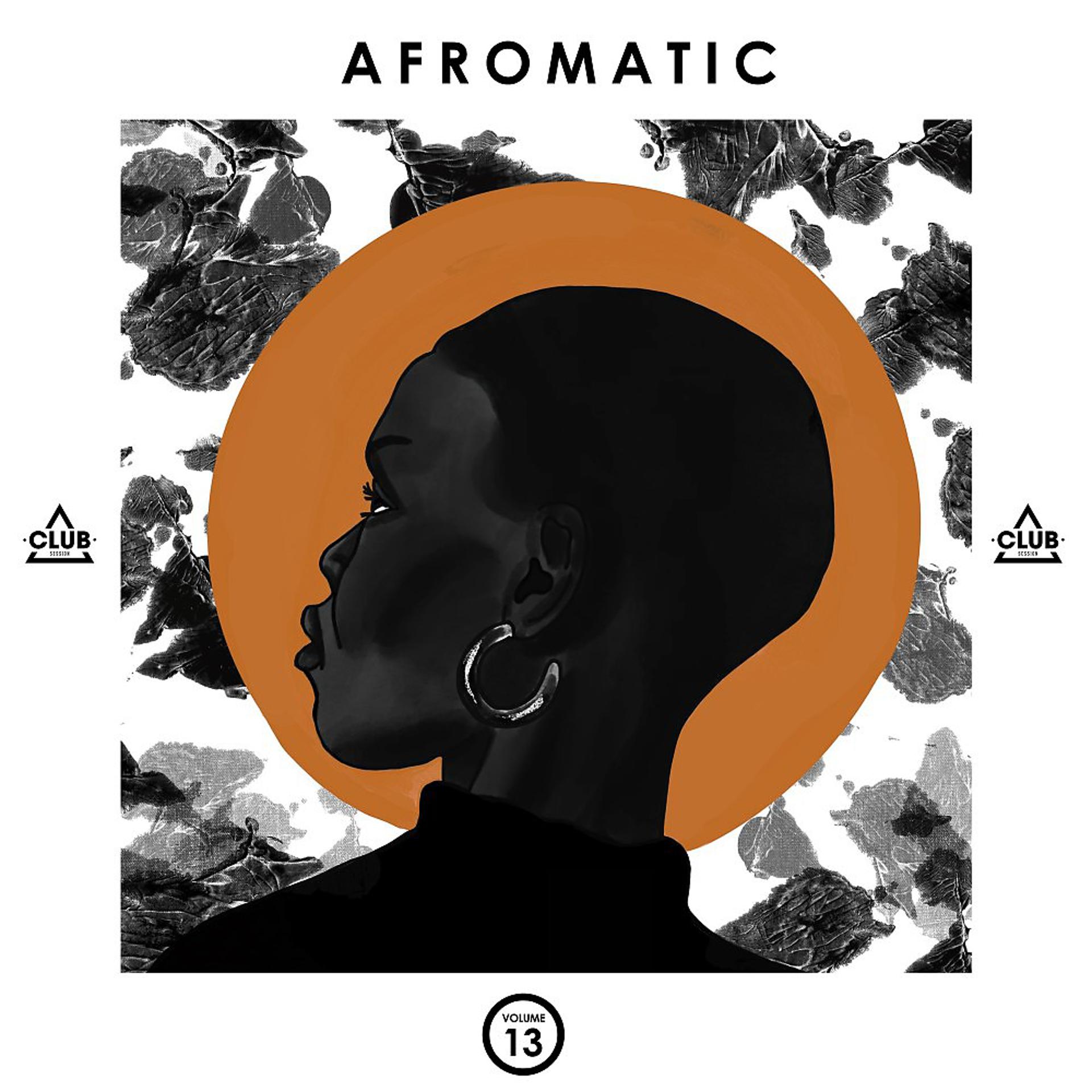 Постер альбома Afromatic, Vol. 13