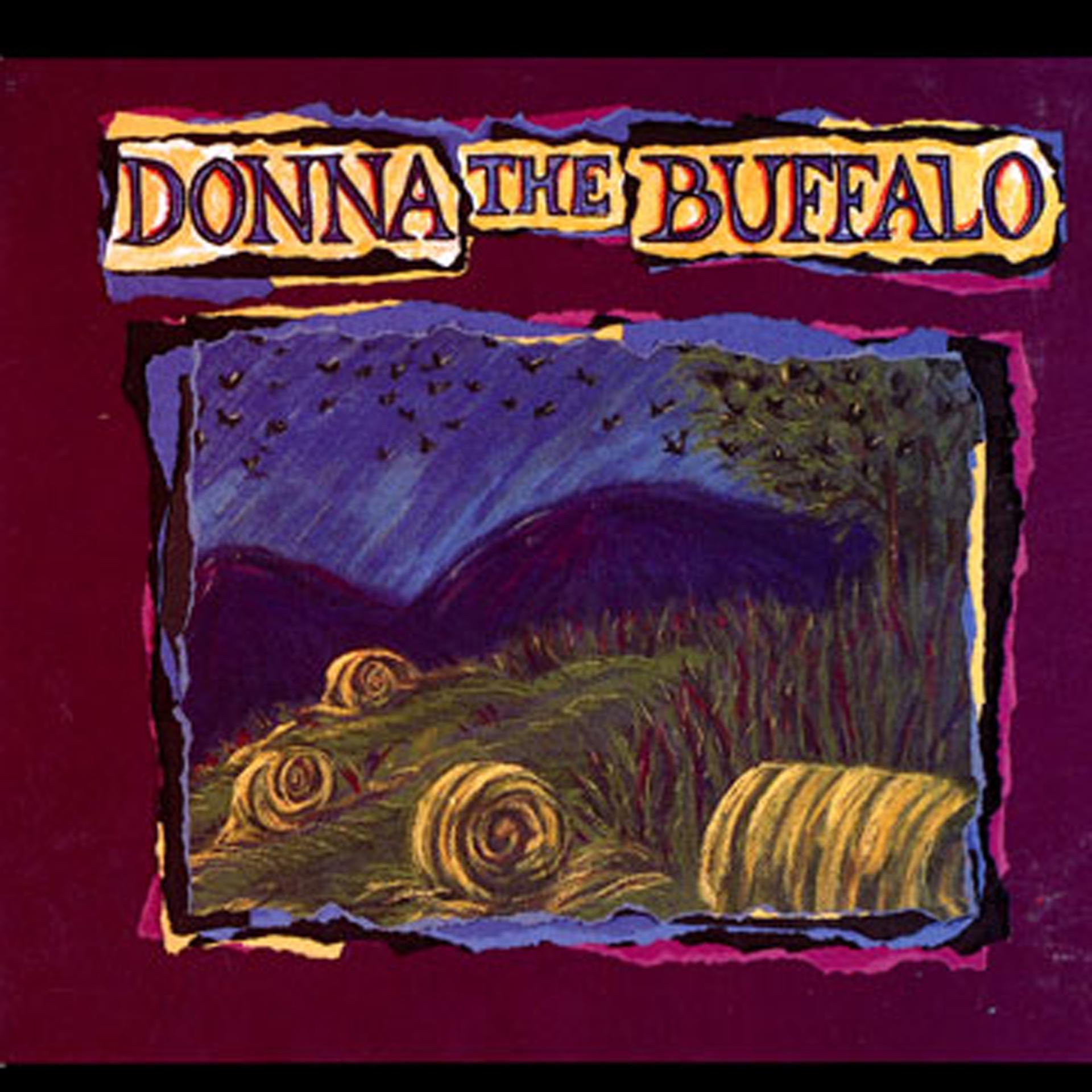Постер альбома Donna The Buffalo