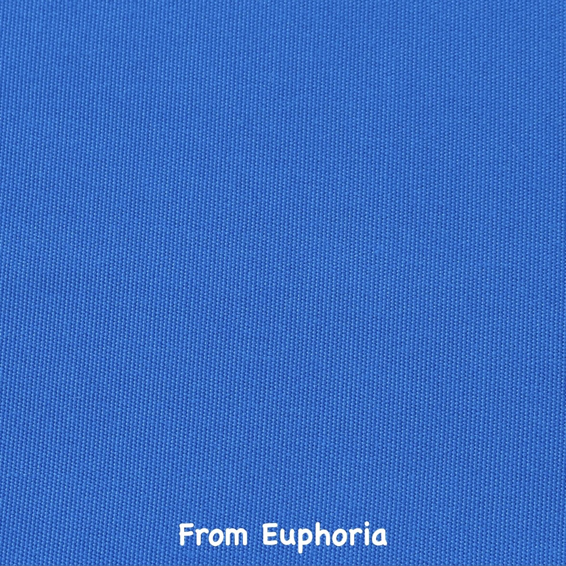 Постер альбома From Euphoria