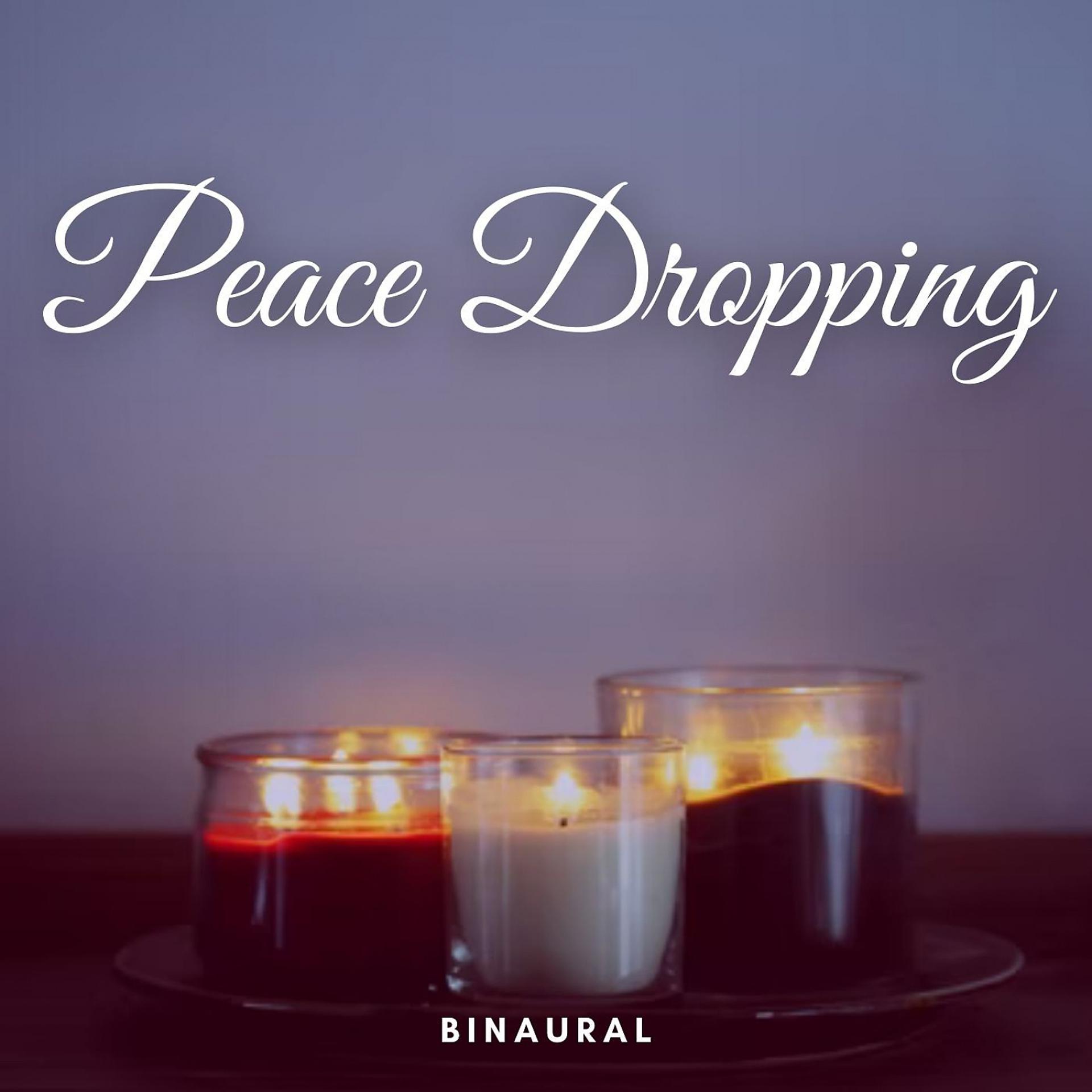 Постер альбома Binaural: Peace Dropping