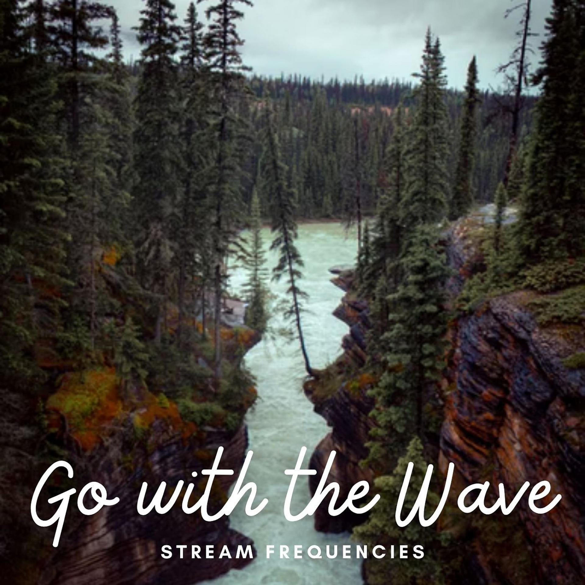 Постер альбома Stream Frequencies: Go with the Wave
