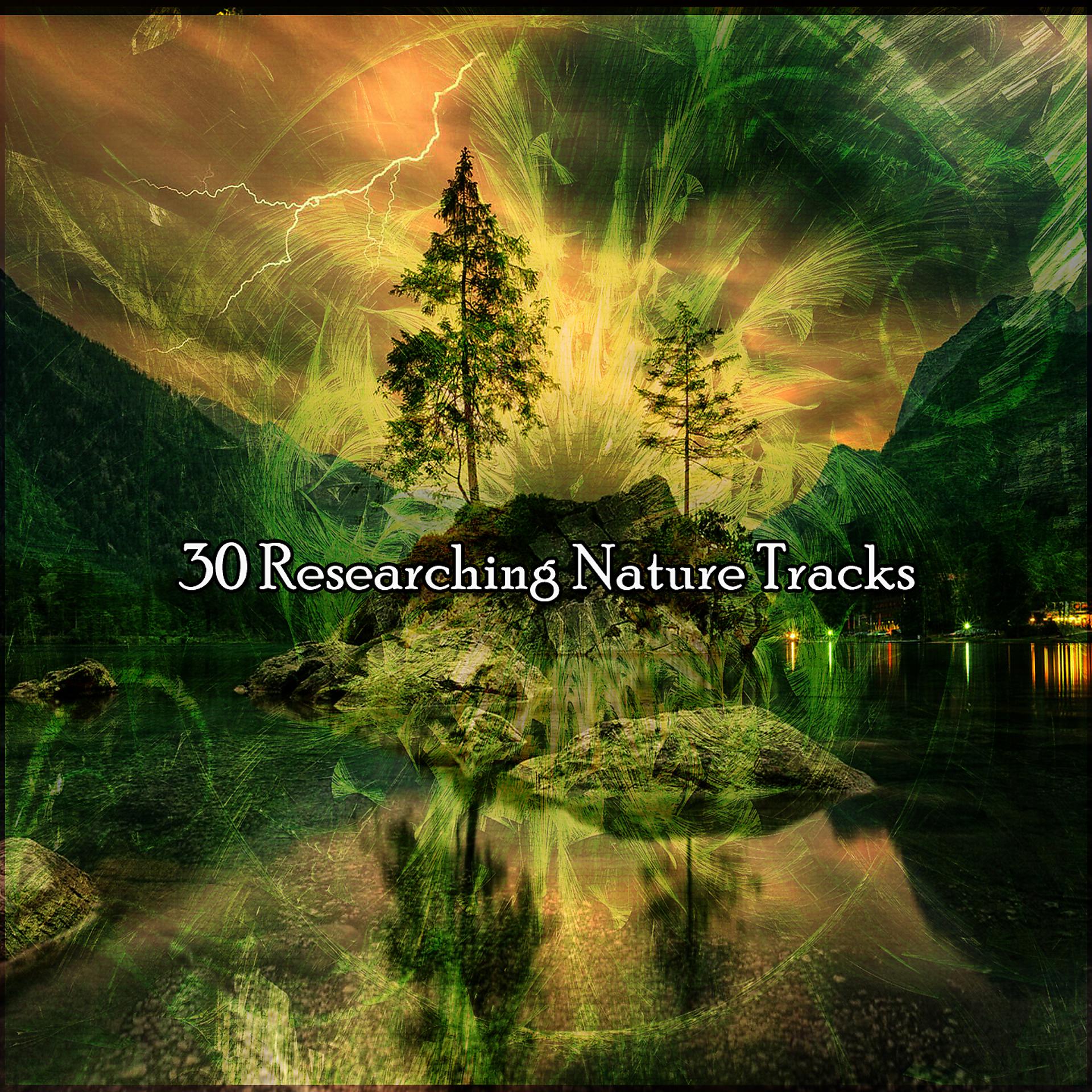 Постер альбома !!!! 30 исследований природных троп !!!!