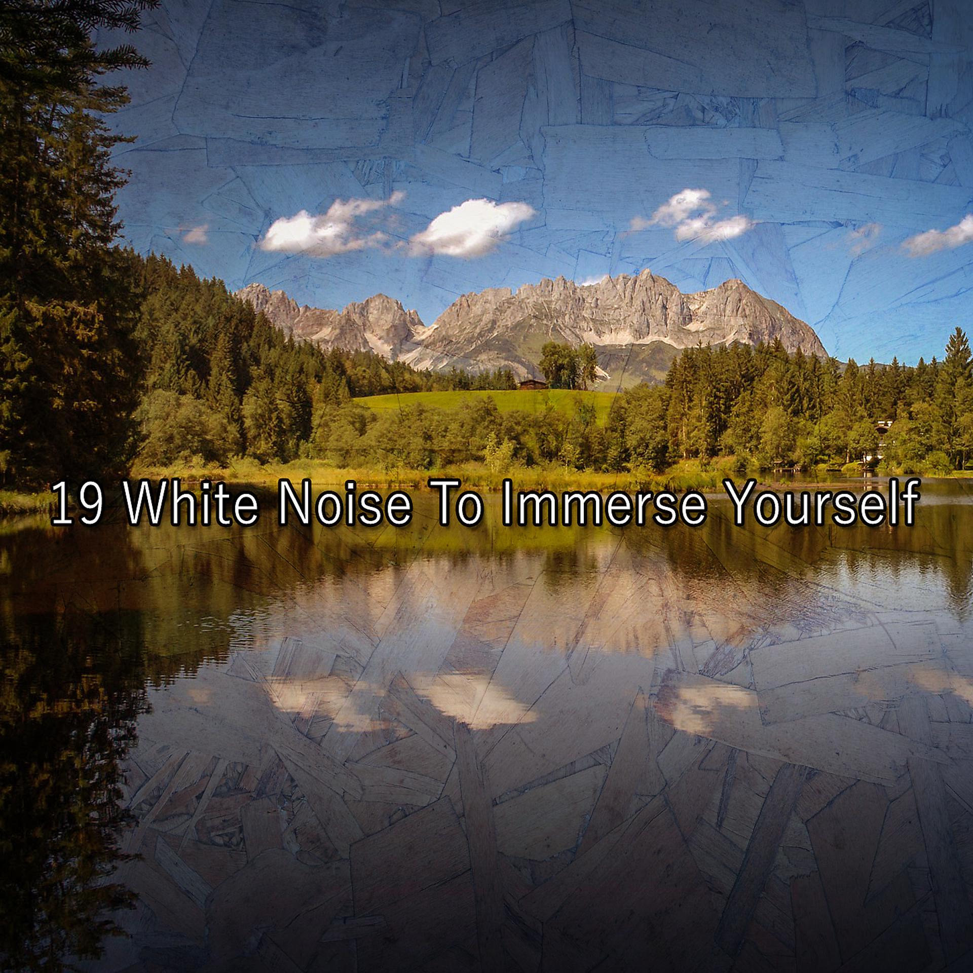 Постер альбома 19 белых шумов, чтобы погрузиться в себя