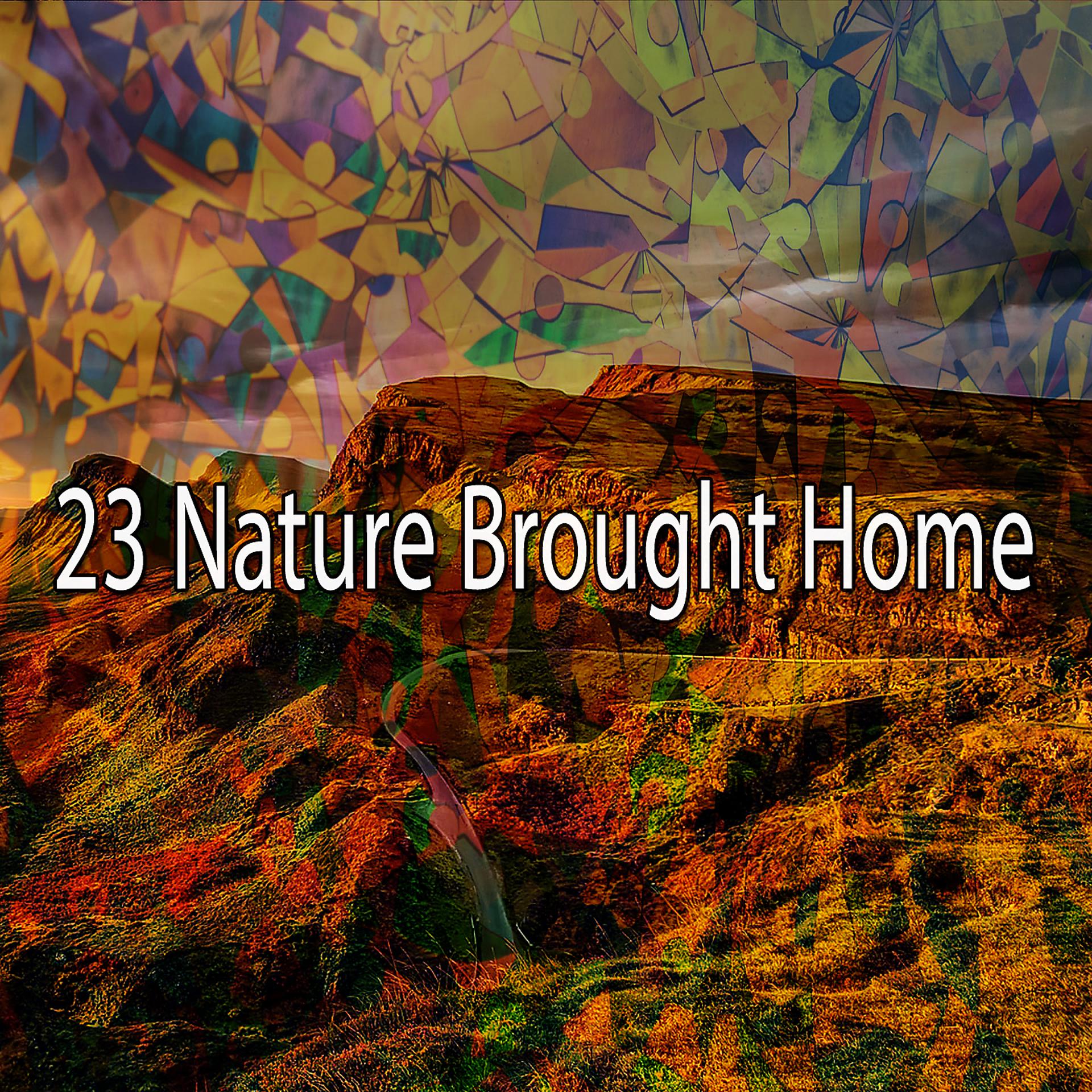 Постер альбома 23 Природа принесла домой