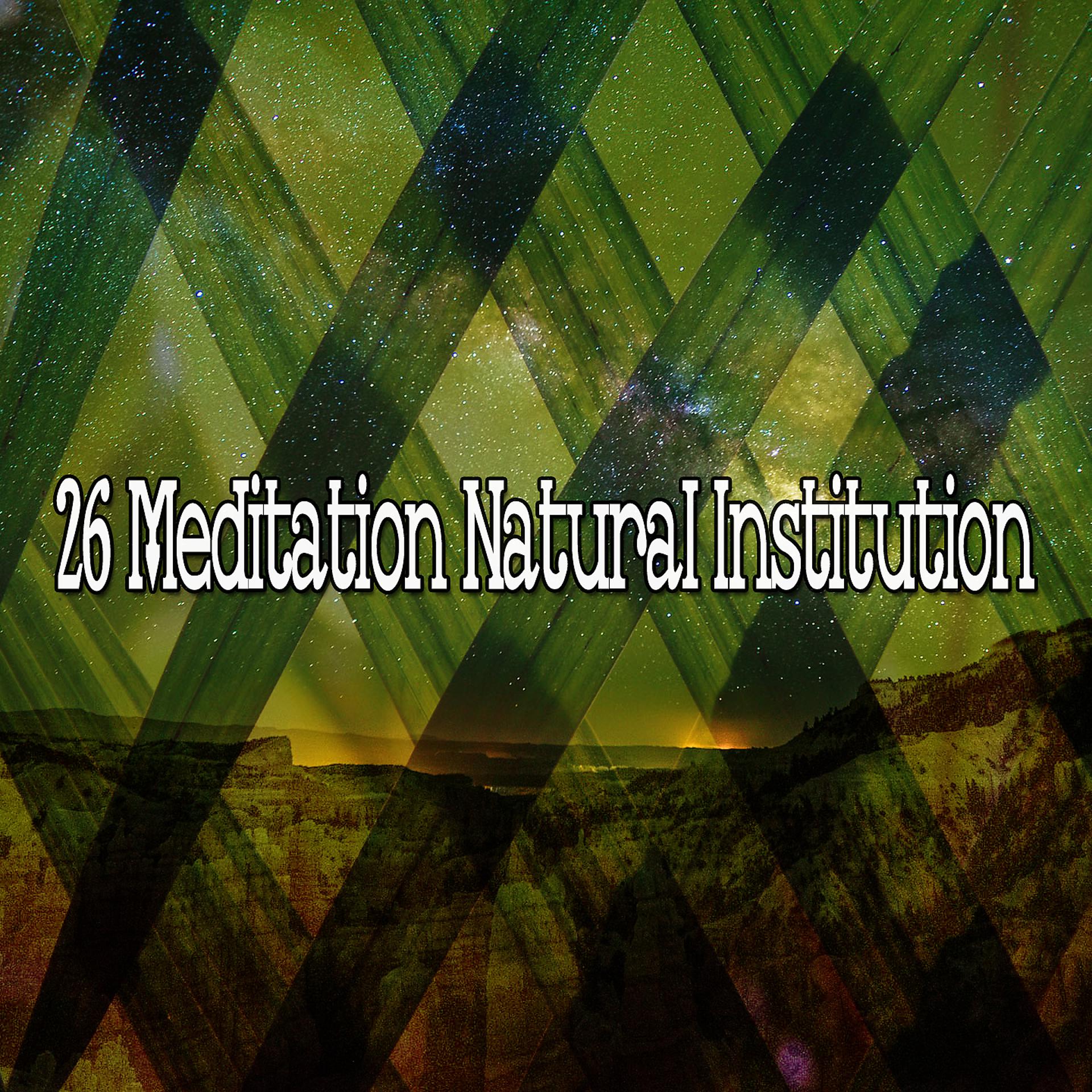 Постер альбома 26 Медитация Природного Учреждения