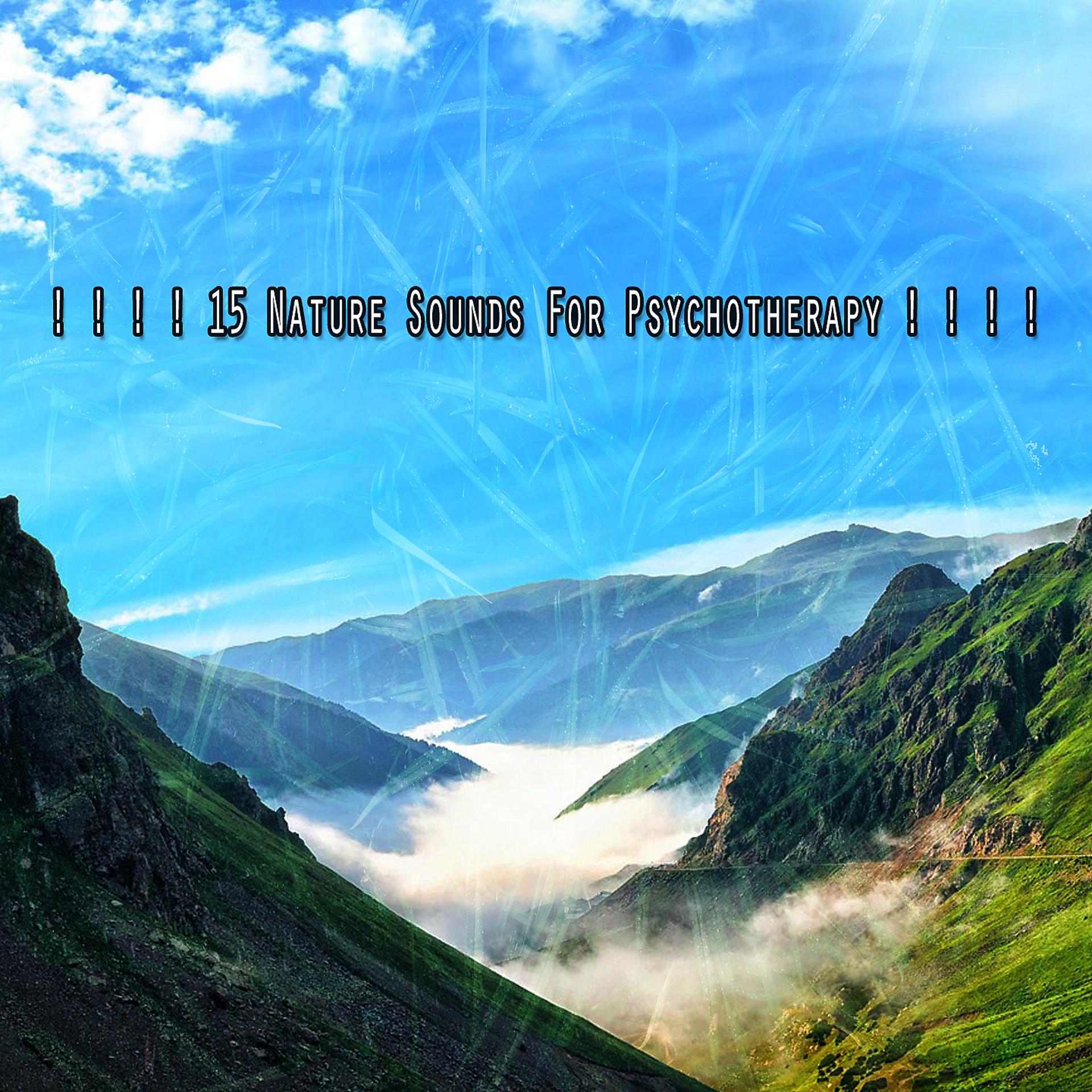 Постер альбома ! ! ! ! 15 звуков природы для психотерапии! ! ! !
