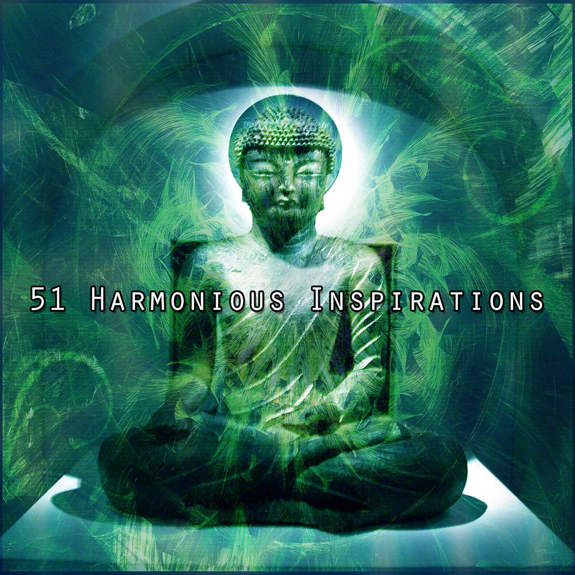 Постер альбома 51 Гармоничное вдохновение