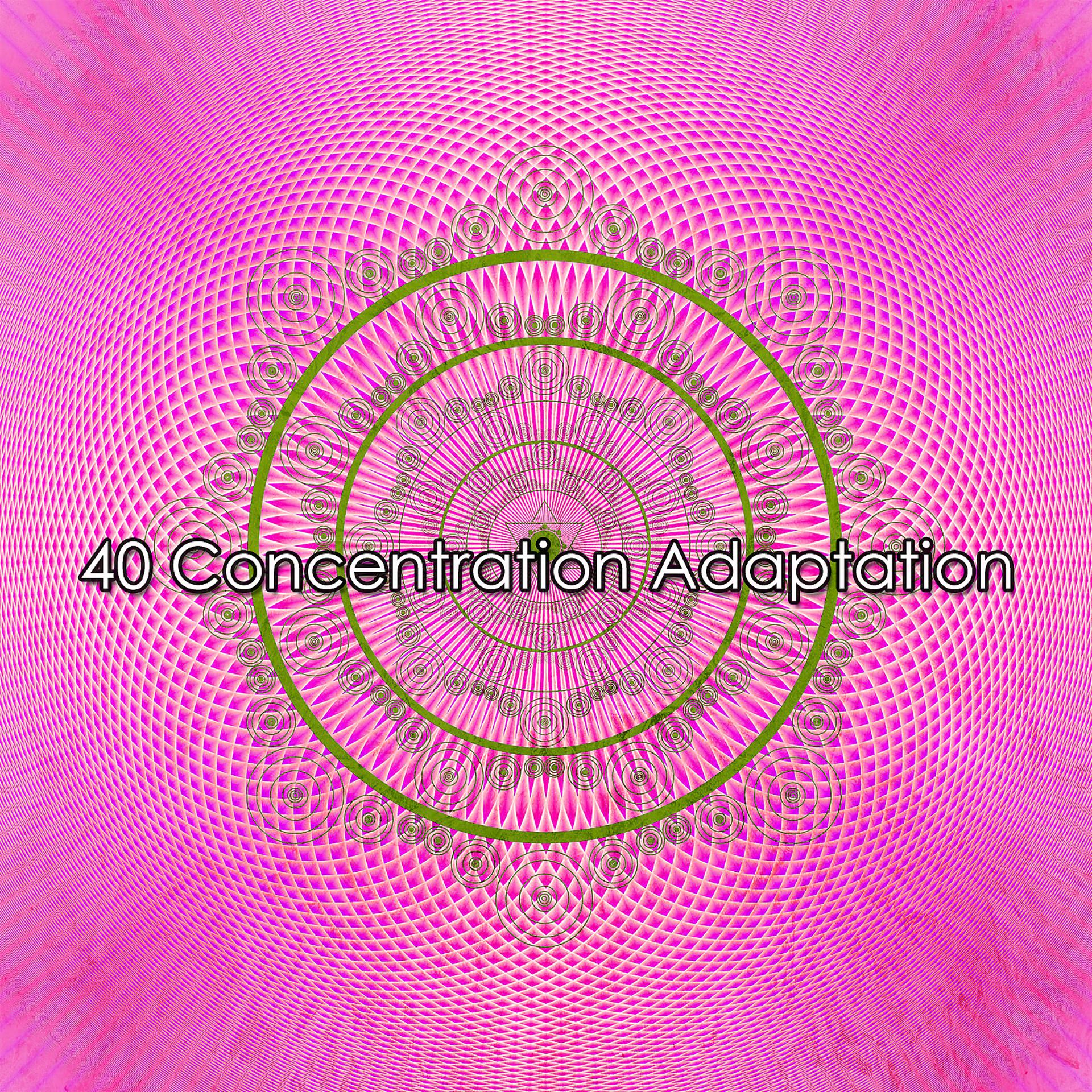 Постер альбома 40 Адаптация концентрации