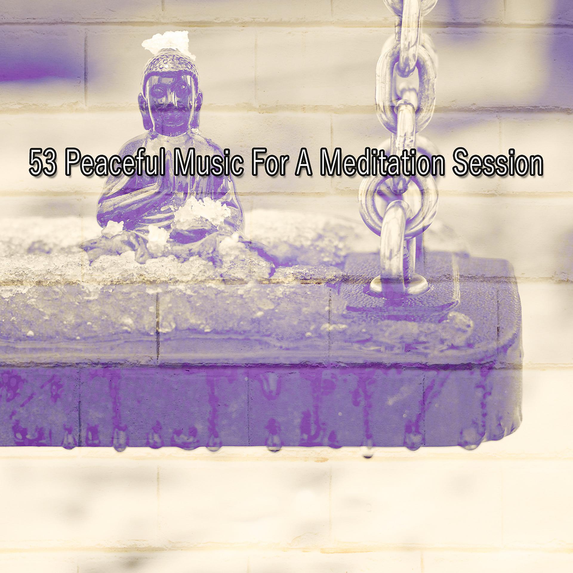Постер альбома 53 Спокойная музыка для сеанса медитации