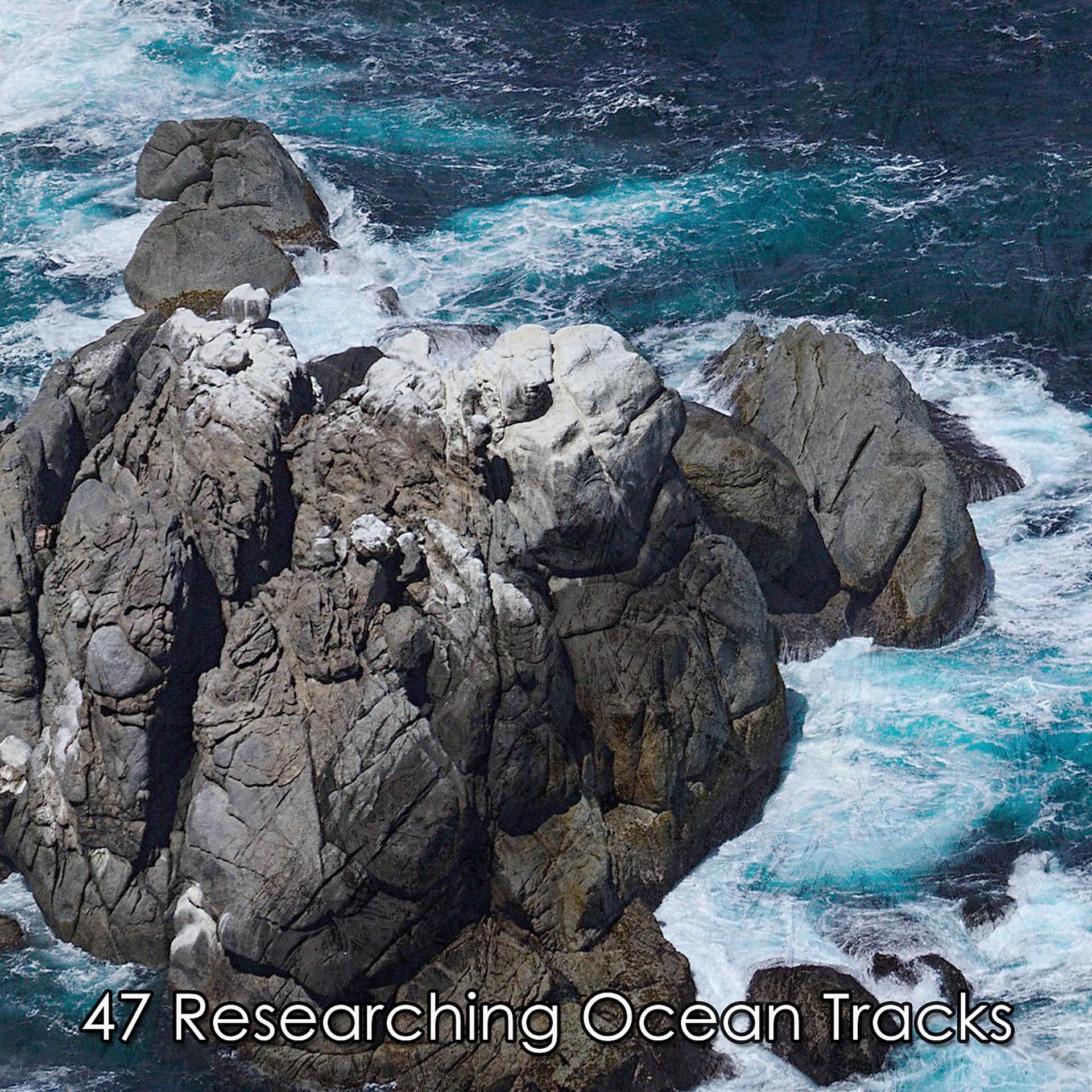 Постер альбома 47 Исследование океанских следов