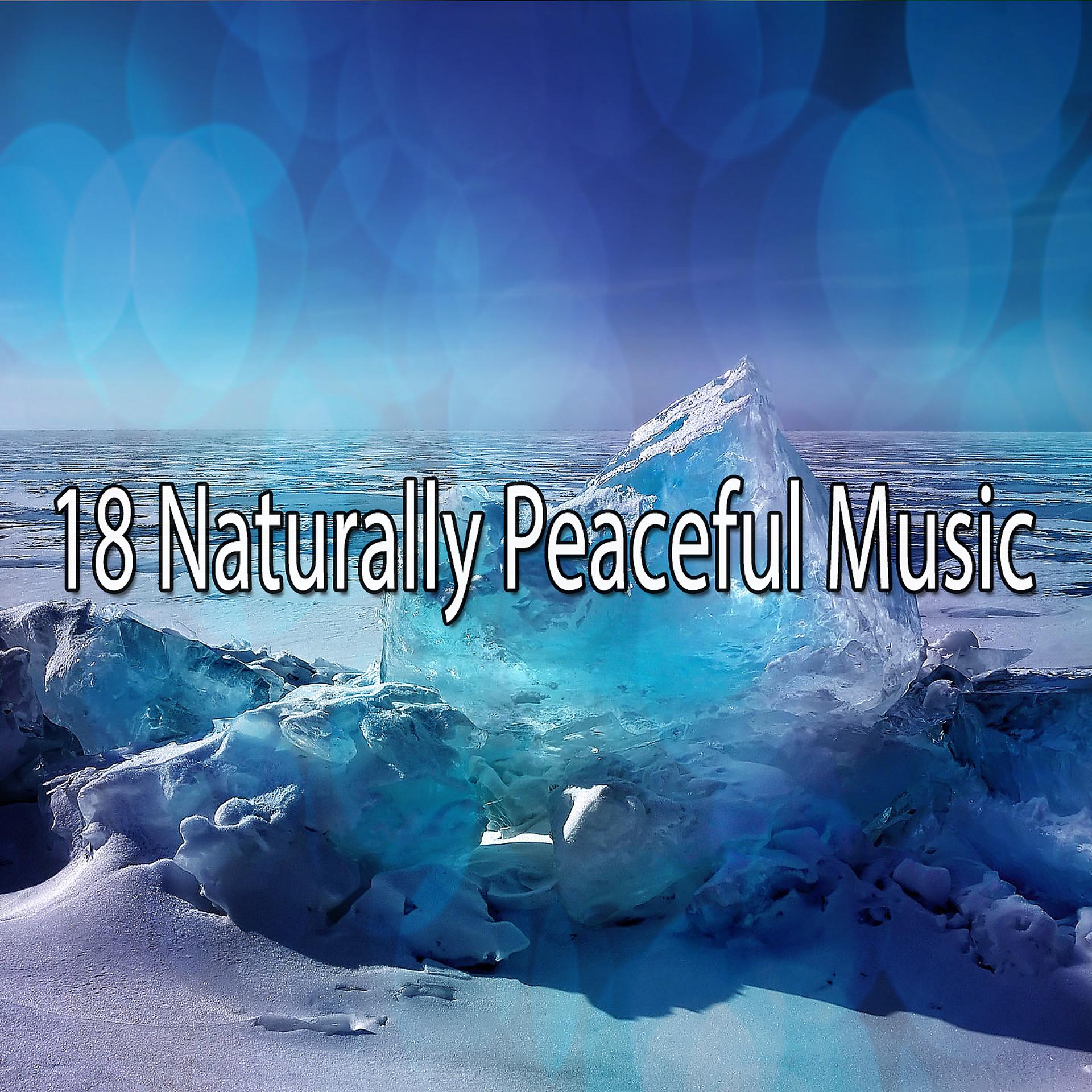 Постер альбома 18 Естественно спокойная музыка