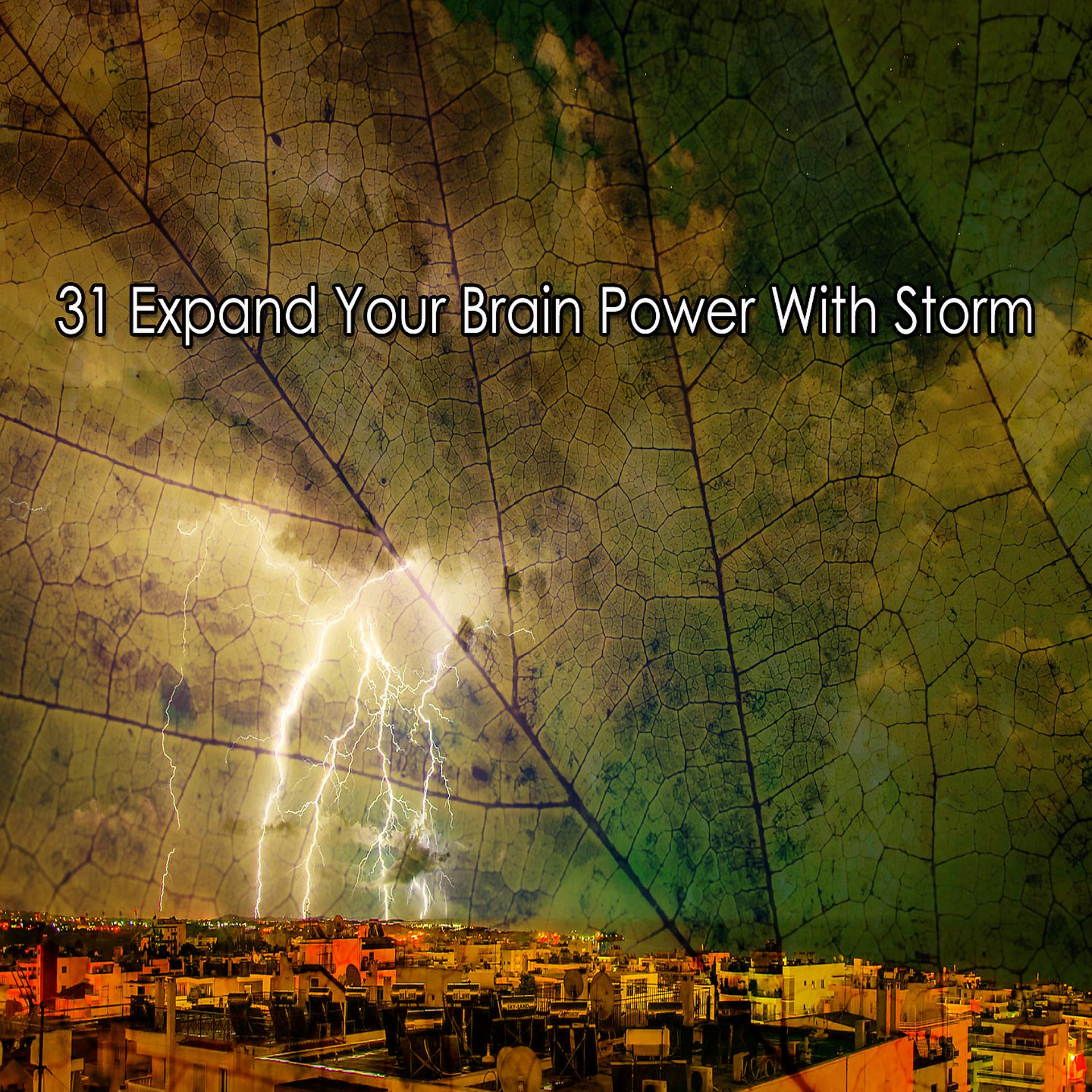 Постер альбома 31 Расширьте возможности своего мозга с помощью Storm