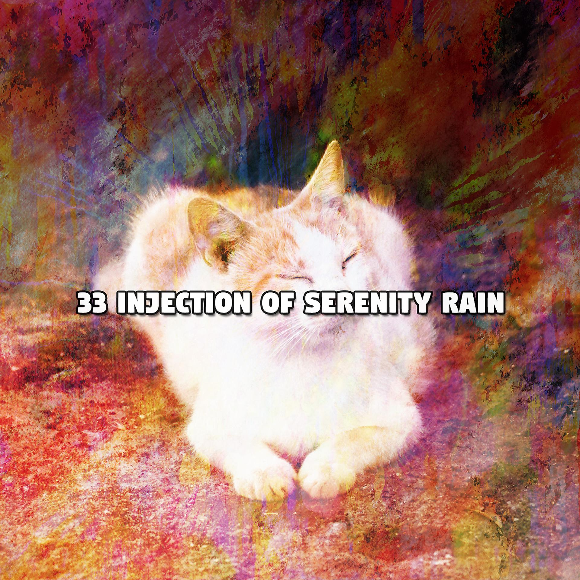 Постер альбома 33 Injection Of Serenity Rain