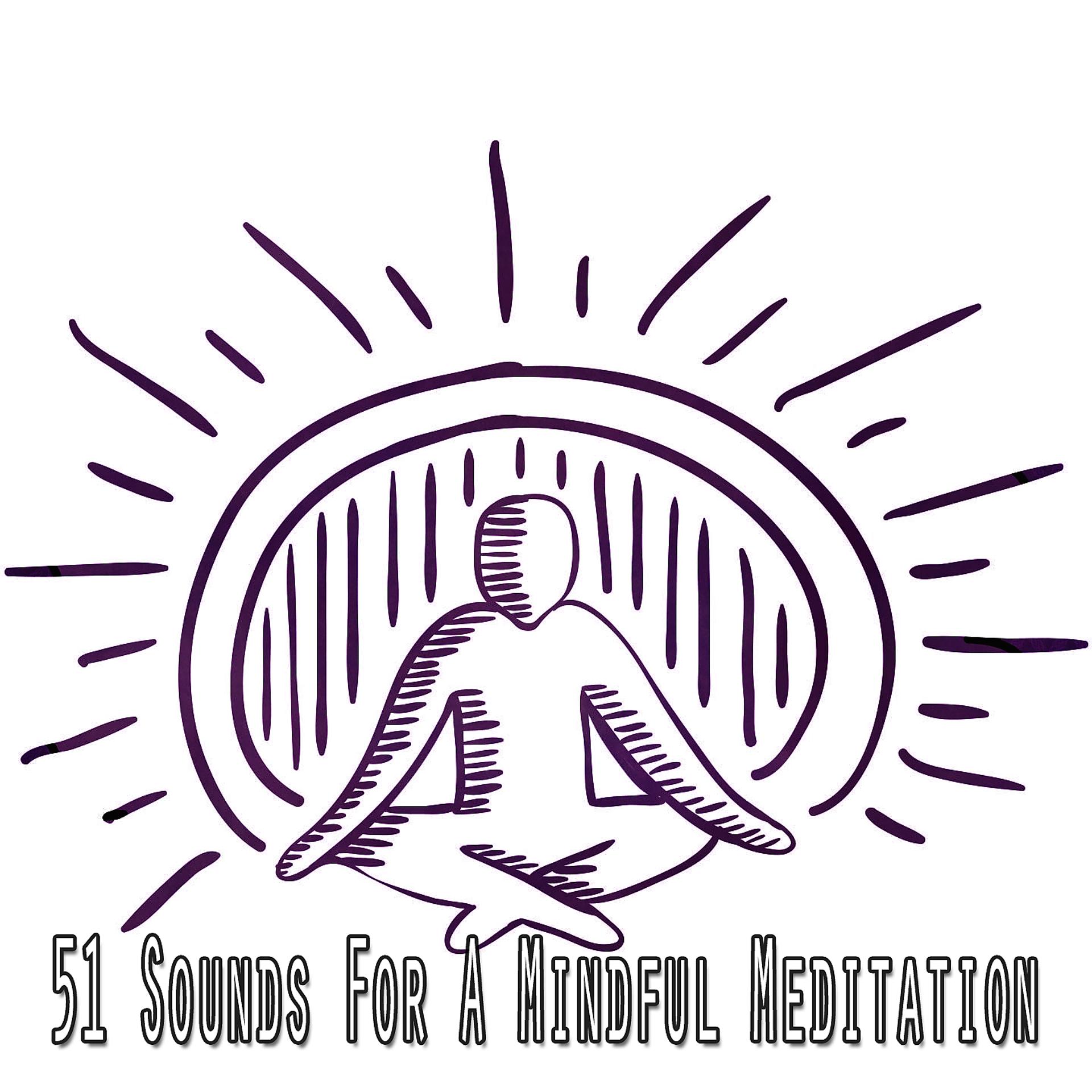 Постер альбома 51 звук для внимательной медитации