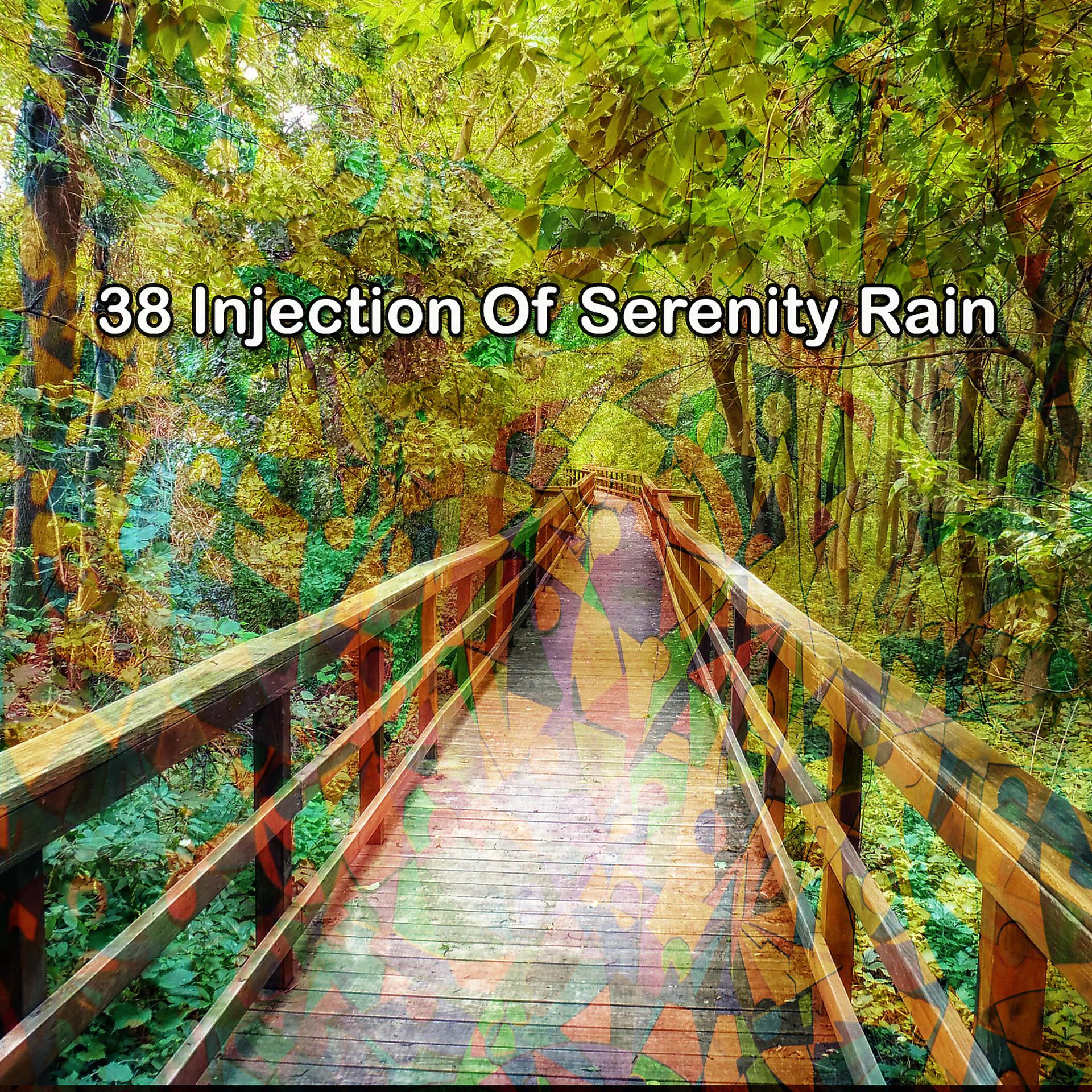 Постер альбома 38 Инъекция безмятежного дождя