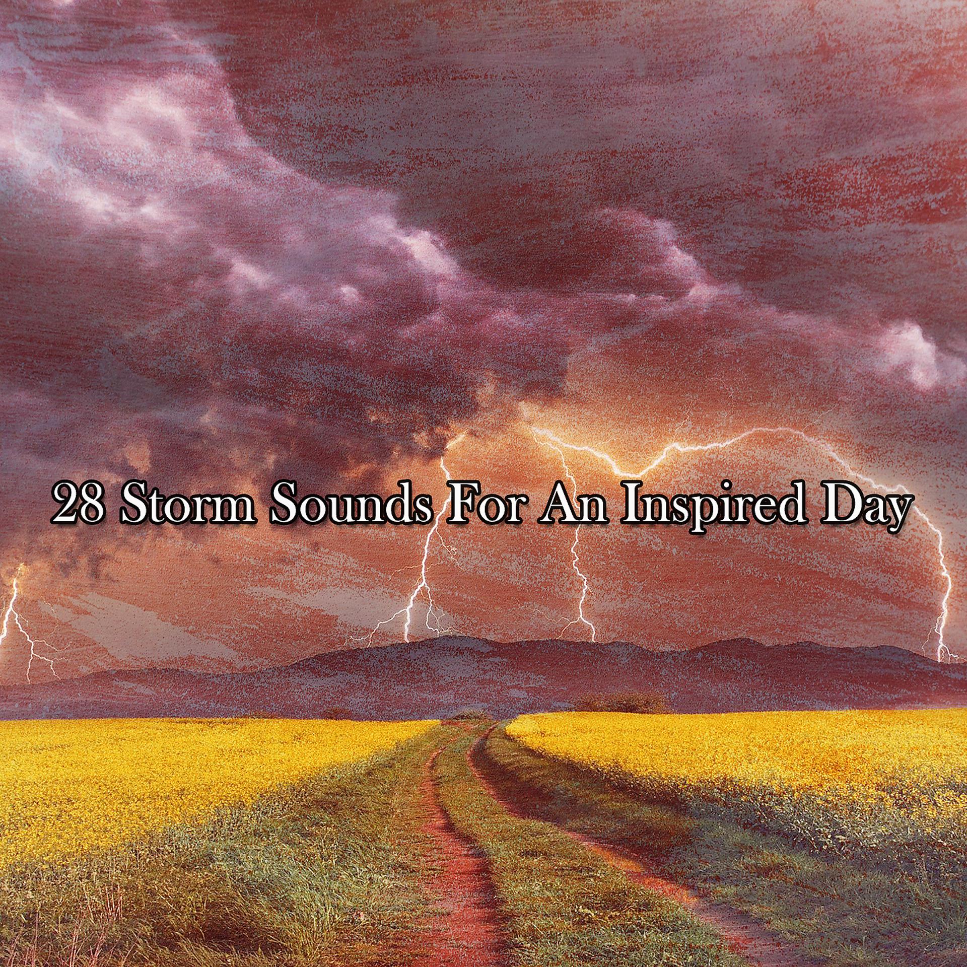 Постер альбома !!!! 28 звуков бури для вдохновенного дня !!!!