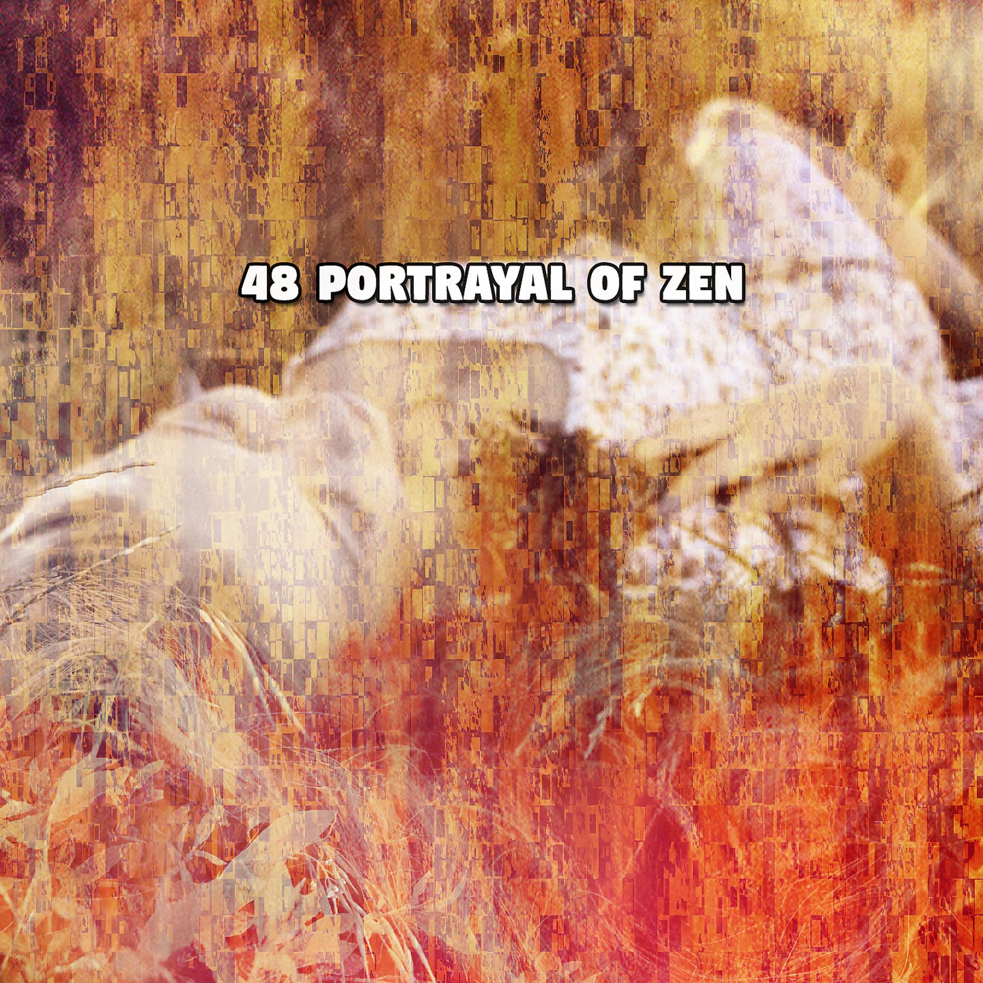 Постер альбома 48 Изображение дзен