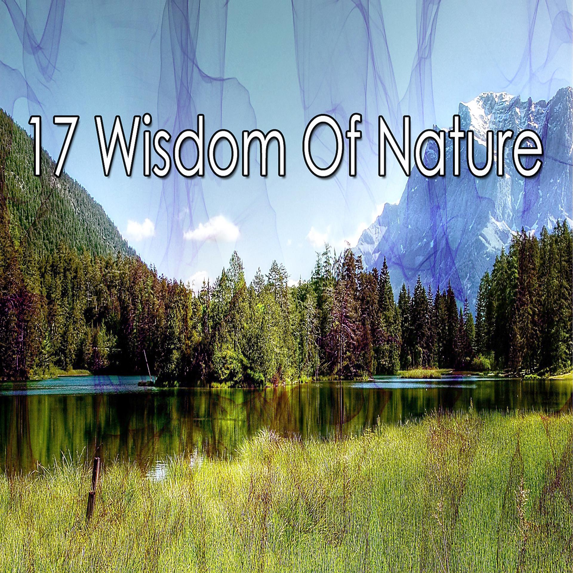 Постер альбома 17 мудрость природы