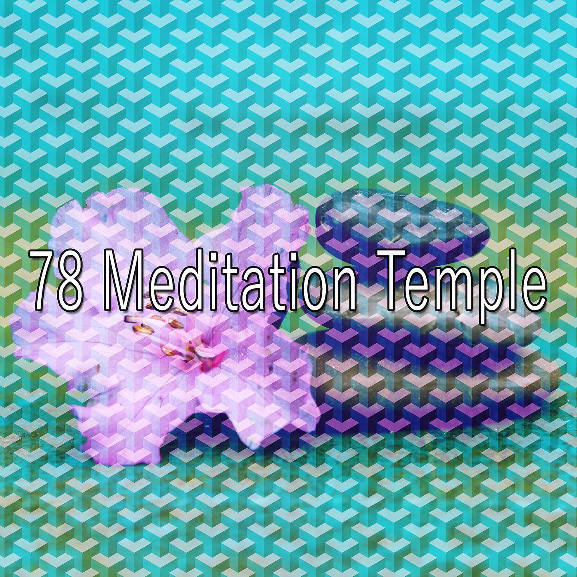 Постер альбома 78 Храм медитации