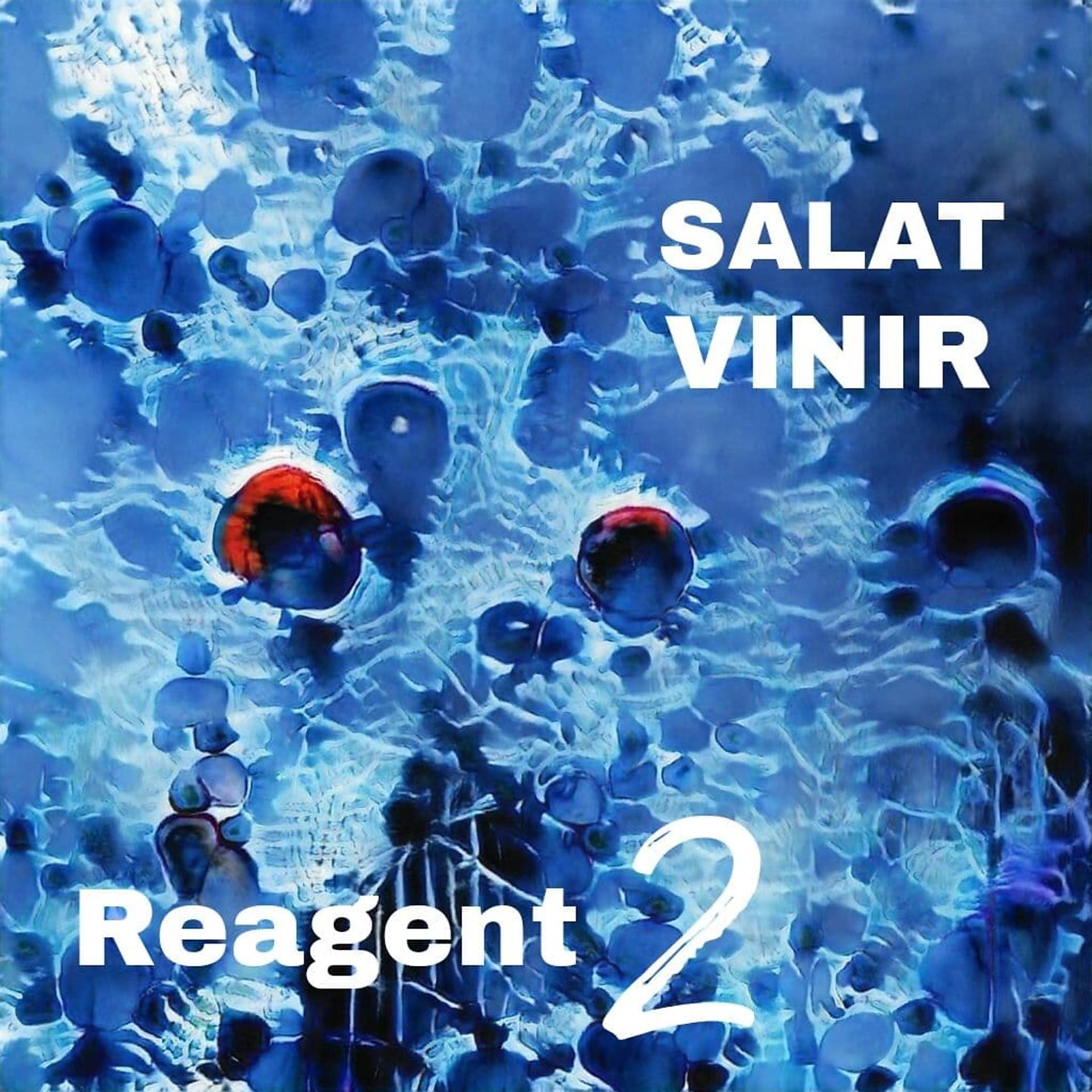 Постер альбома Reagent 2