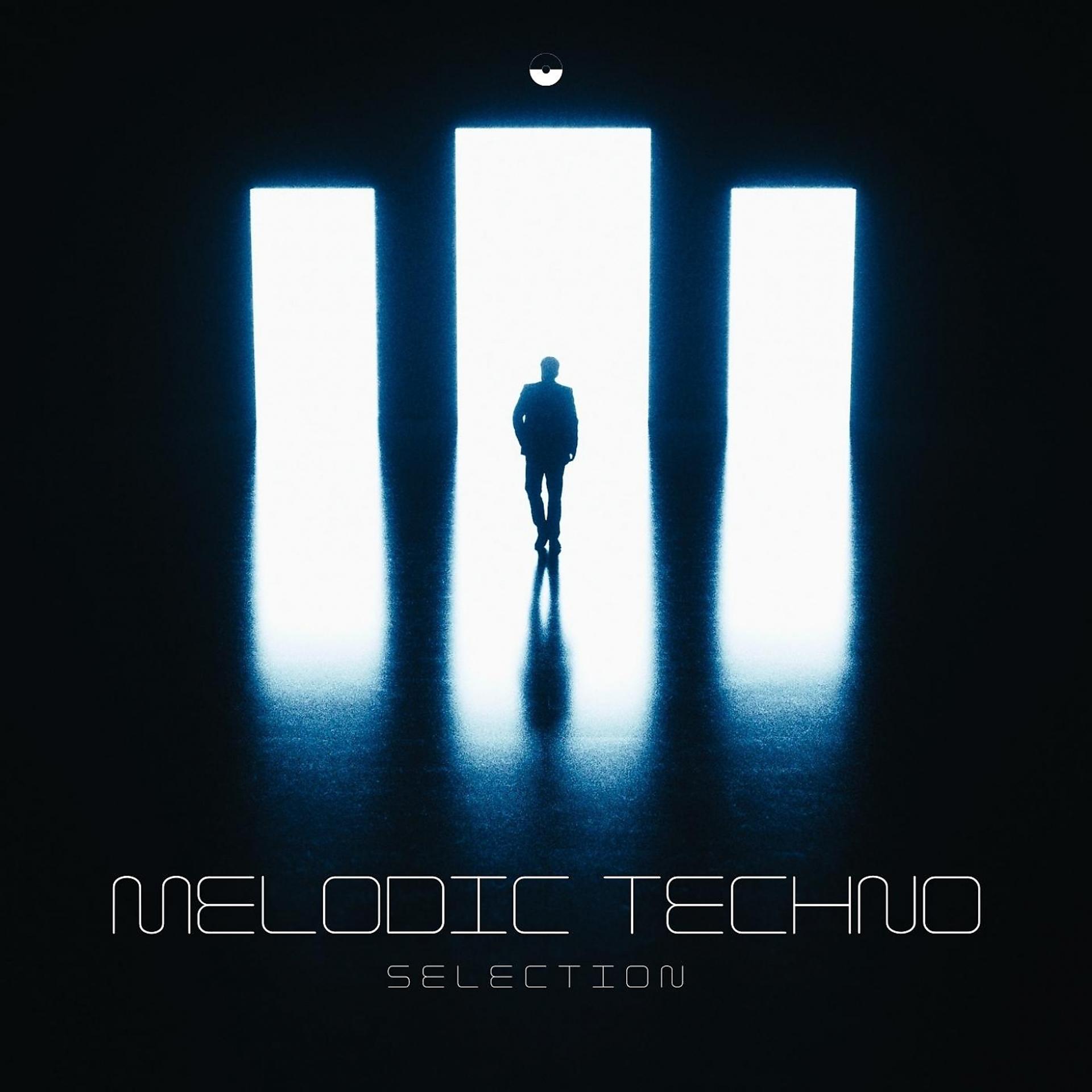 Постер альбома Melodic Techno Selection