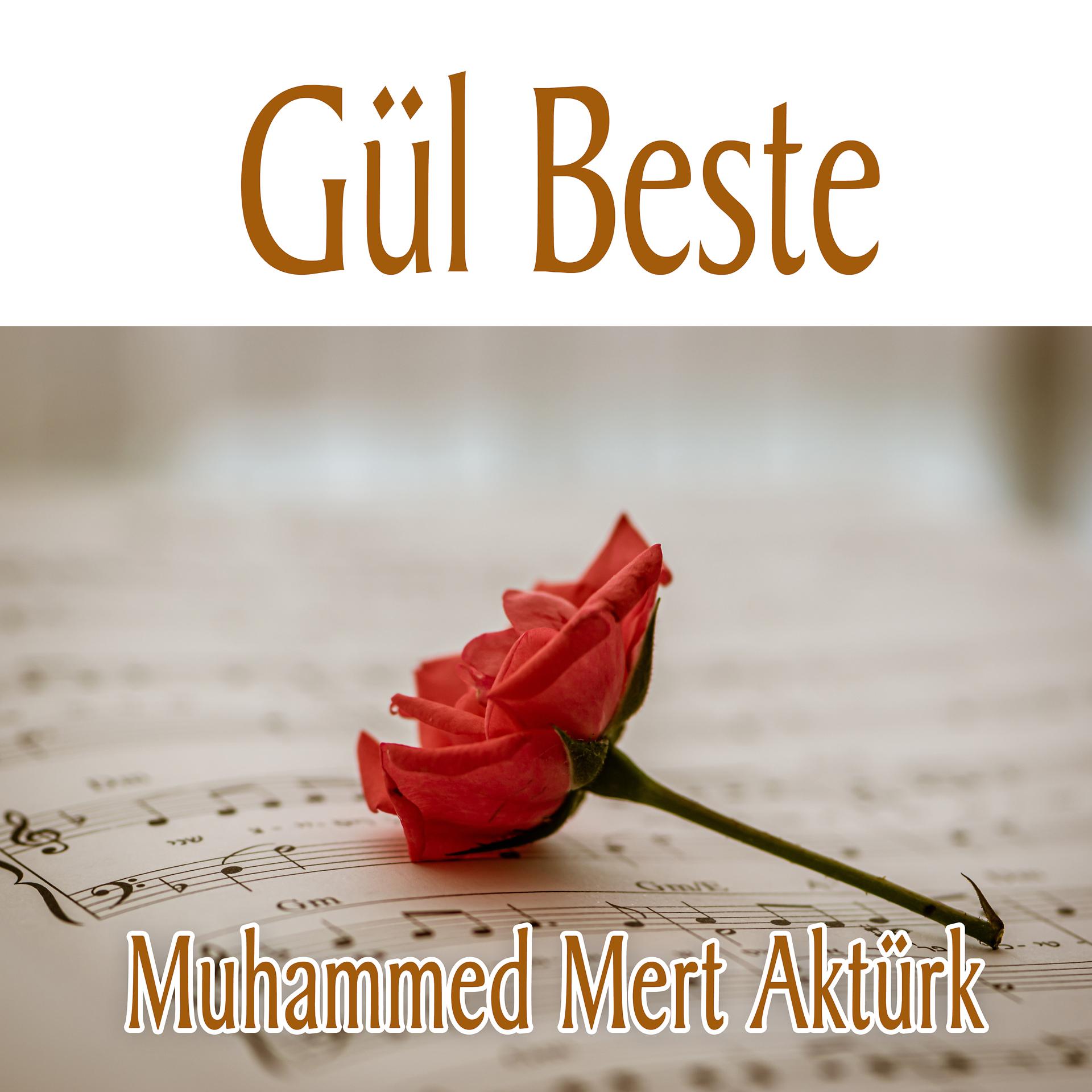 Постер альбома Gül Beste