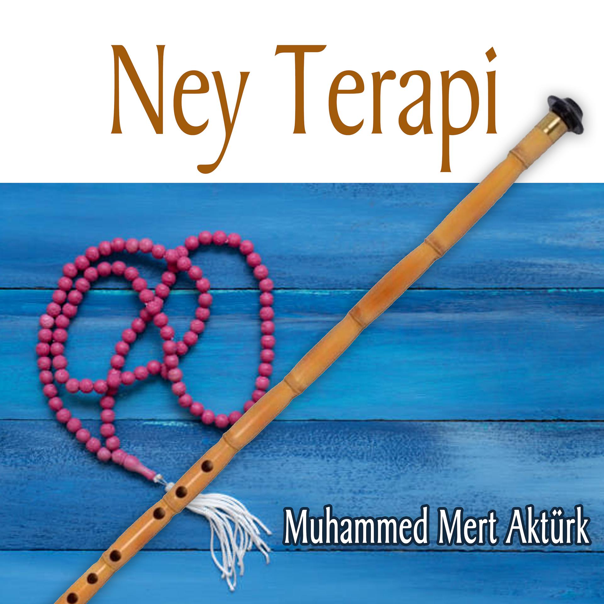 Постер альбома Ney Terapi