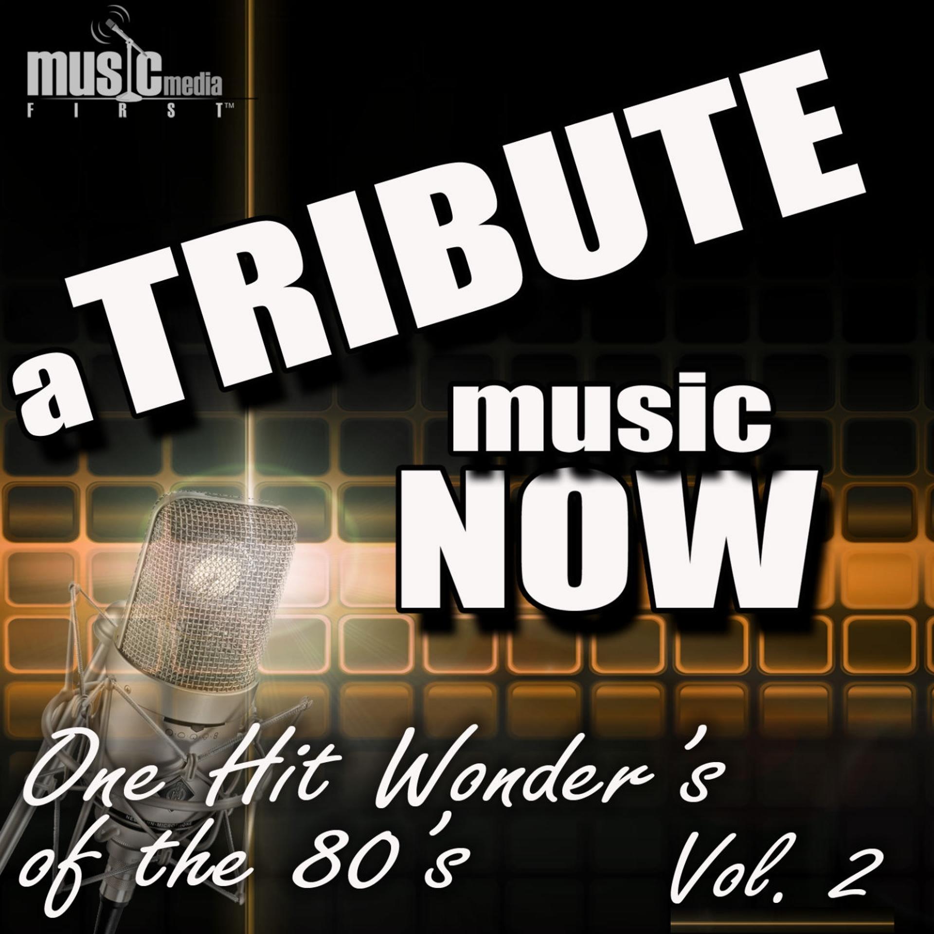 Постер альбома A Tribute Music Now: One Hit Wonder's of the 80's, Vol. 2